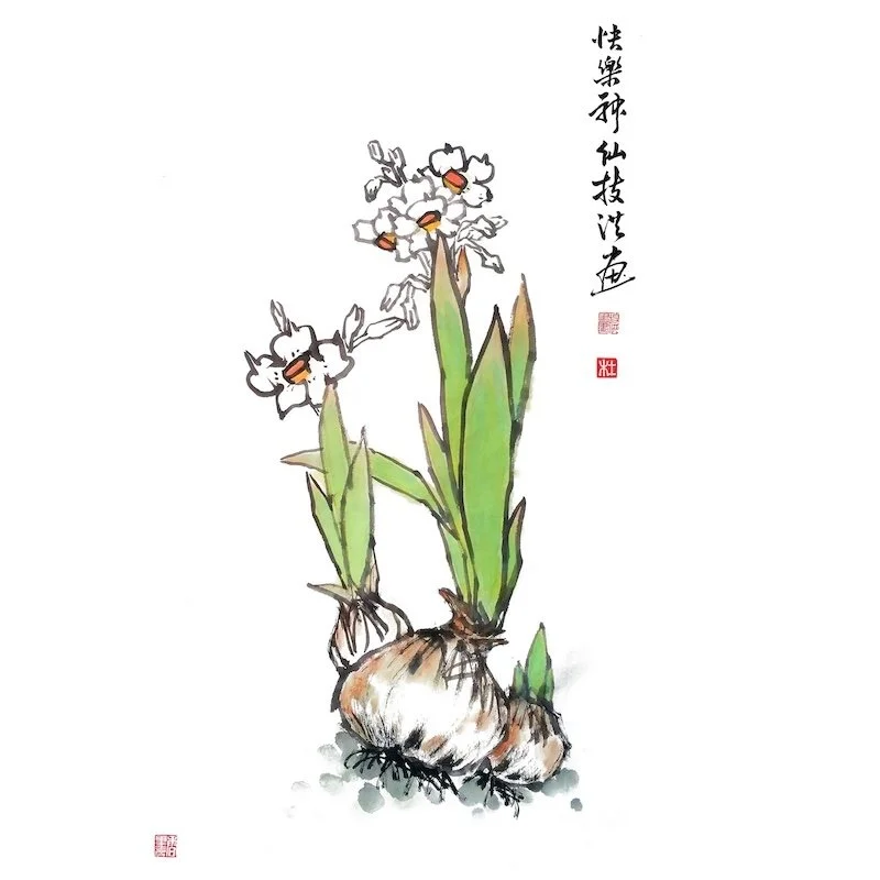 Painting of white flowers and green leaves emerging from a bulb, with Chinese calligraphy on the right side.