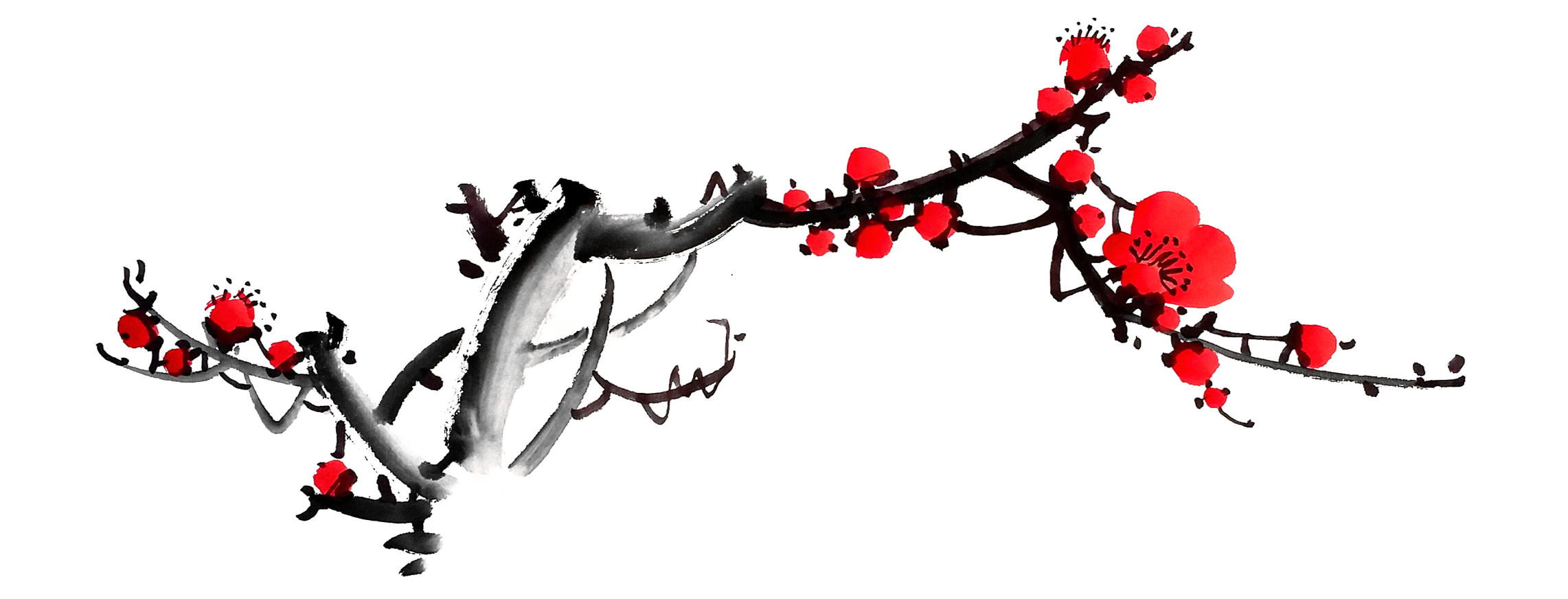 A digital illustration of a cherry blossom branch with red flowers and buds on a black background.