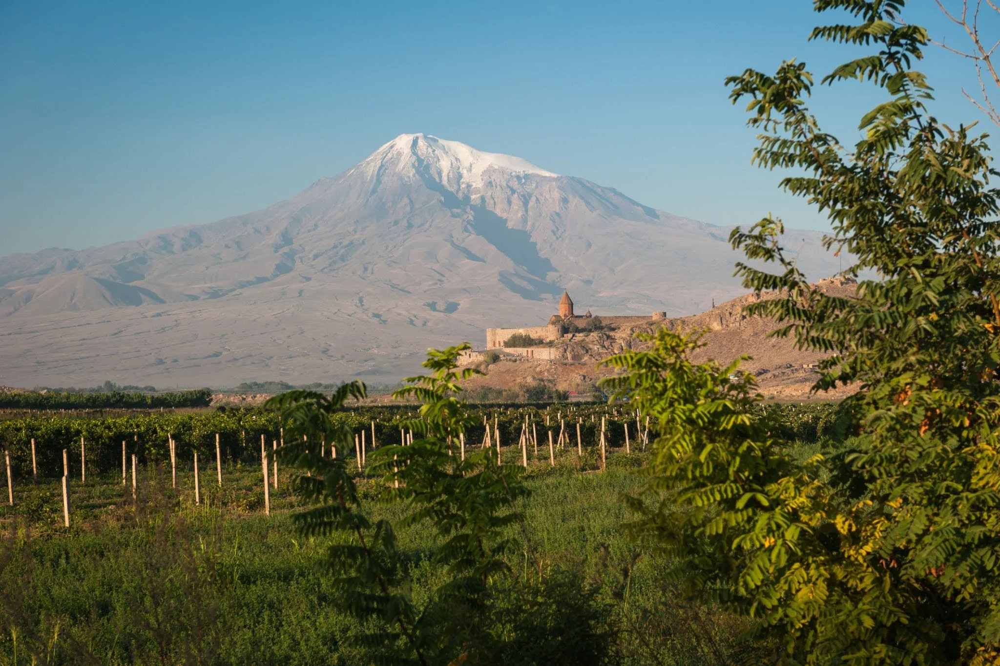 The Ancient Wine Route (8 Days / 7 Nights)