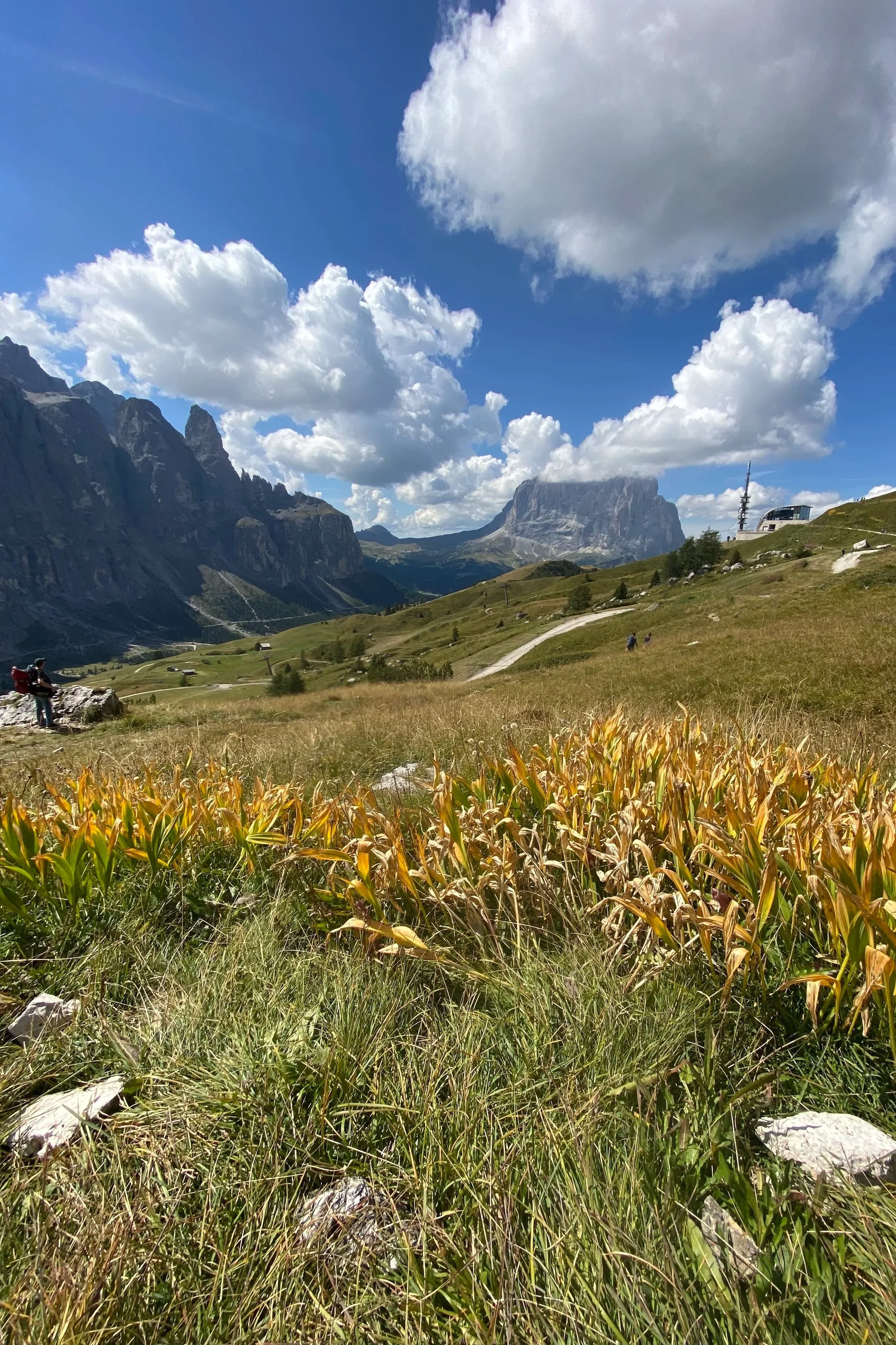 A scenic mountain landscape with tall rocky peaks, green rolling hills, a grassy foreground, and a partly cloudy sky.