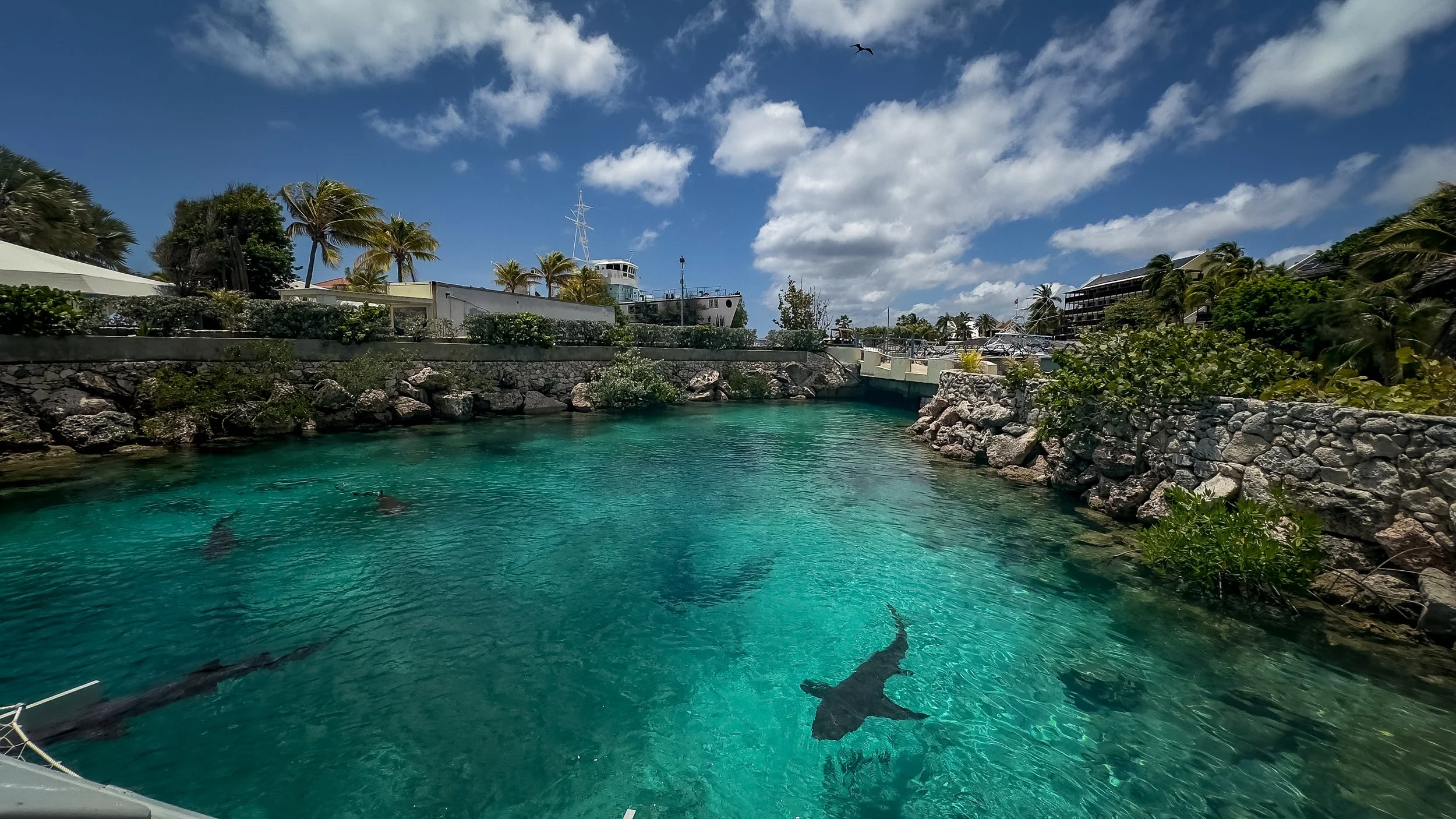 Aquarium with clear turquoise water, rocks along the sides, tropical trees, and a tall ship in the background under a partly cloudy sky.