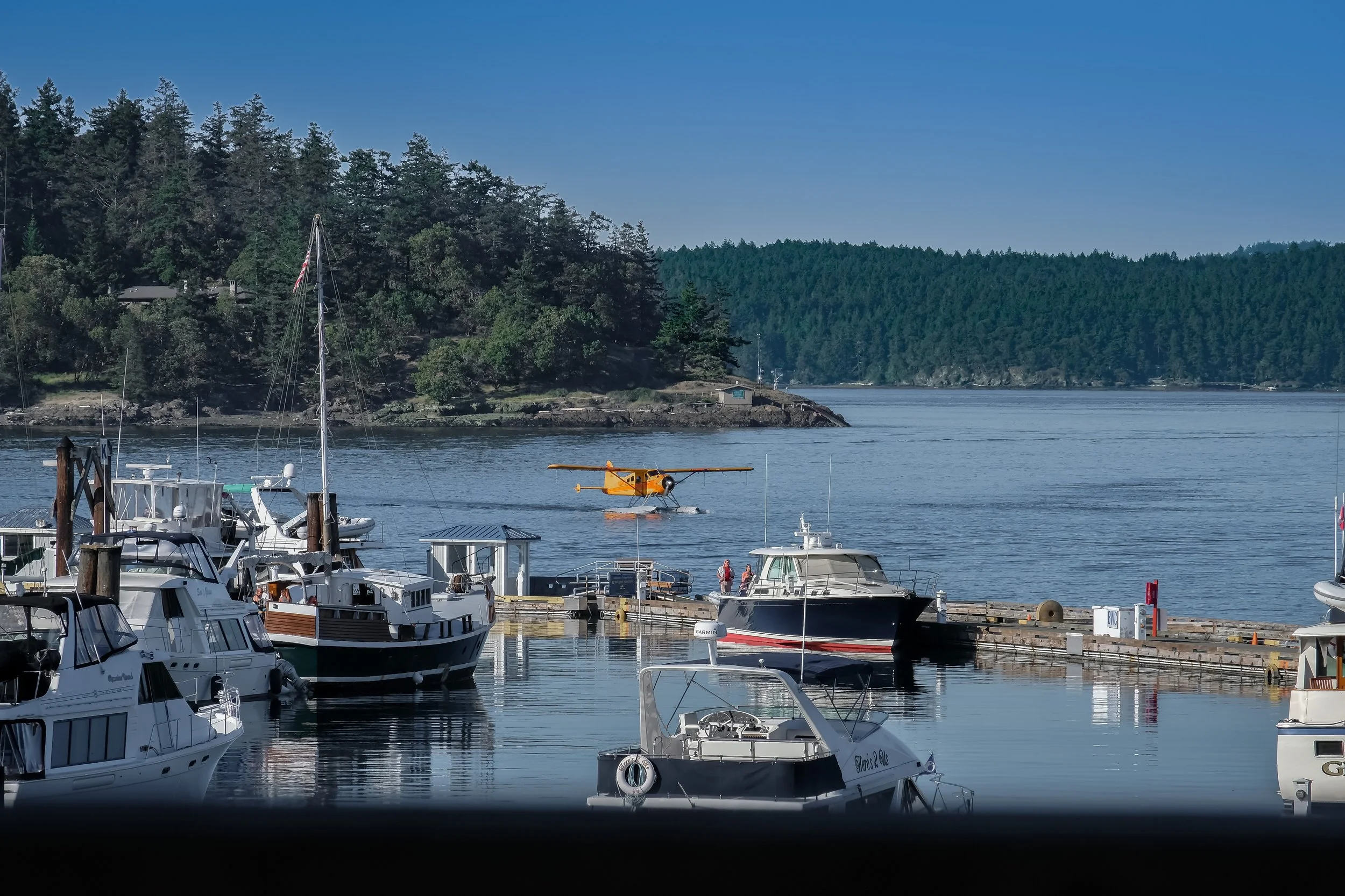 A marina with several boats docked and a seaplane flying above the water, with wooded hills and blue sky in the background.
