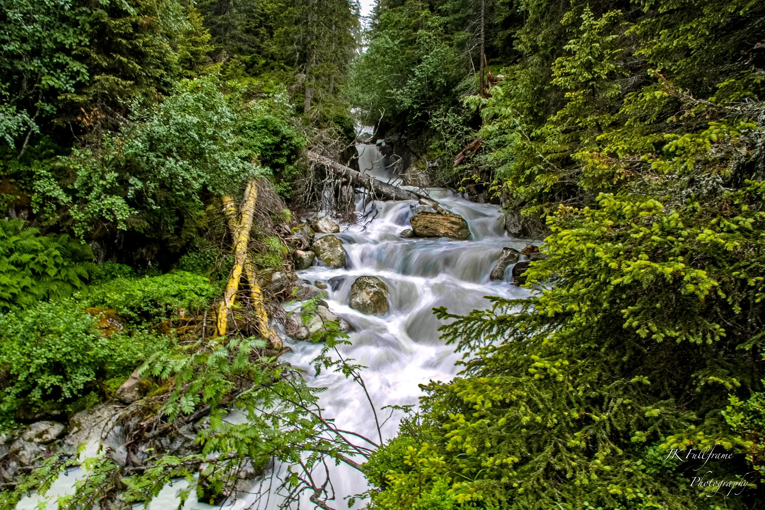 A flowing mountain creek surrounded by lush green trees and foliage.