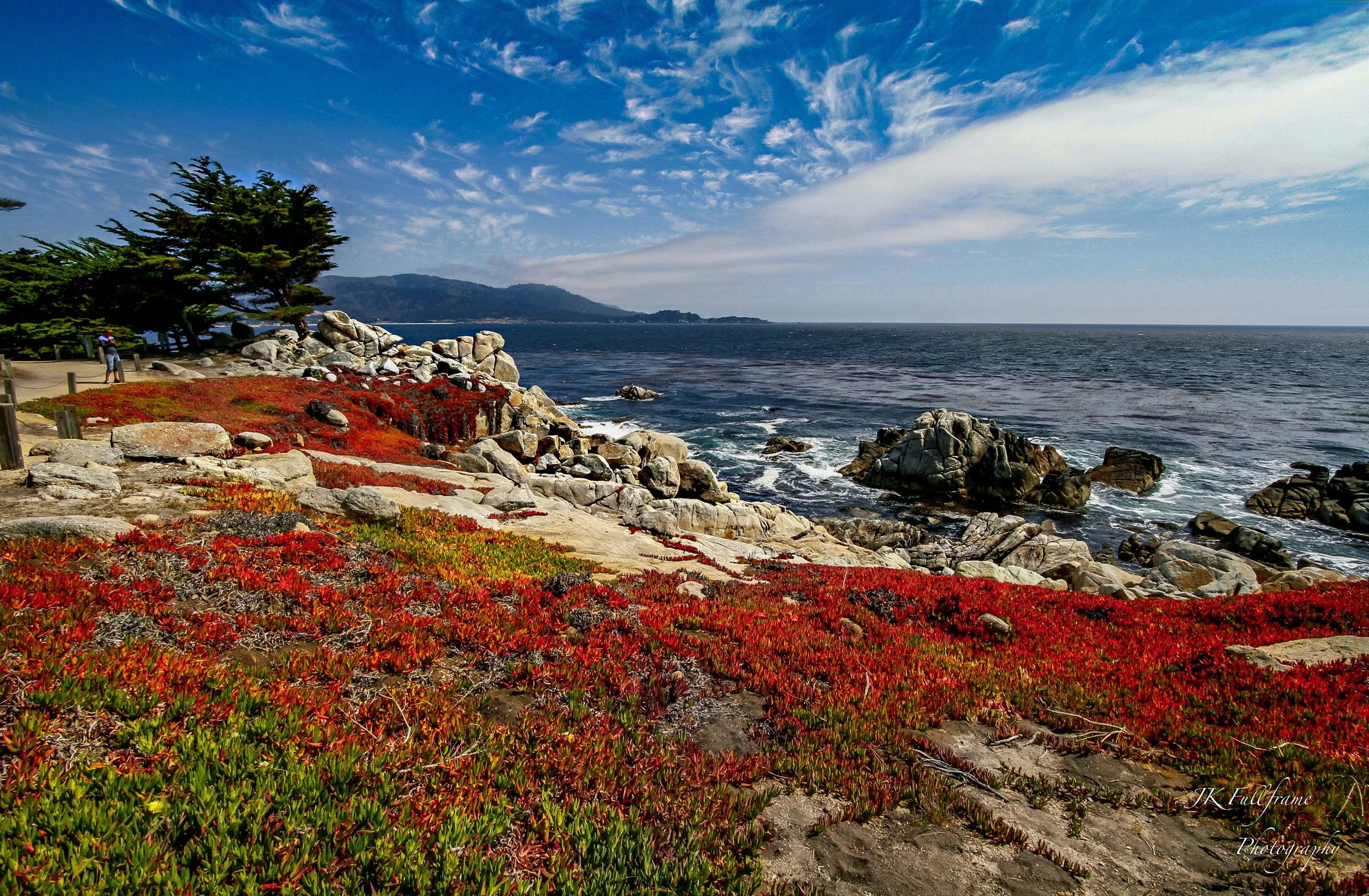 Coastal scene with red and green ground cover plants, rocks along the shoreline, a few trees, and a person walking on a path on the left side. The ocean extends to the horizon with a mountain in the distance and blue sky with wispy white clouds.