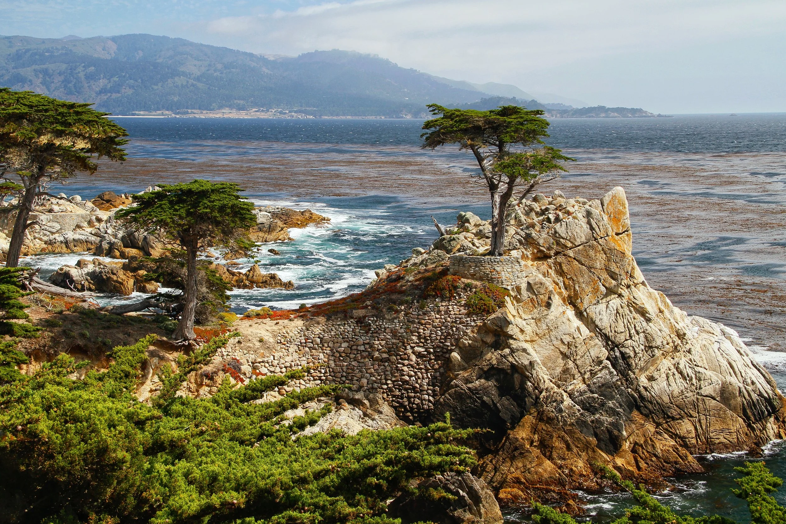 Coastal scene with rocky cliffs, several trees, ocean waves, and distant mountains under a cloudy sky.
