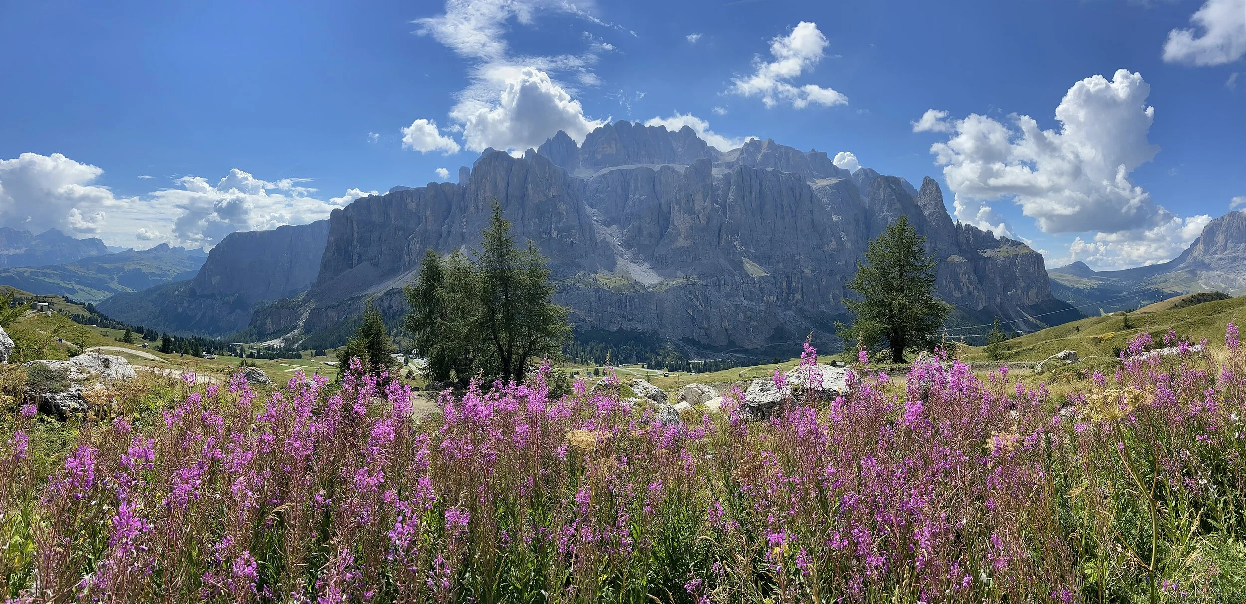 A scenic mountain landscape with purple wildflowers in the foreground, green rolling hills, tall trees, rocky mountain peaks in the background, and a partly cloudy sky.