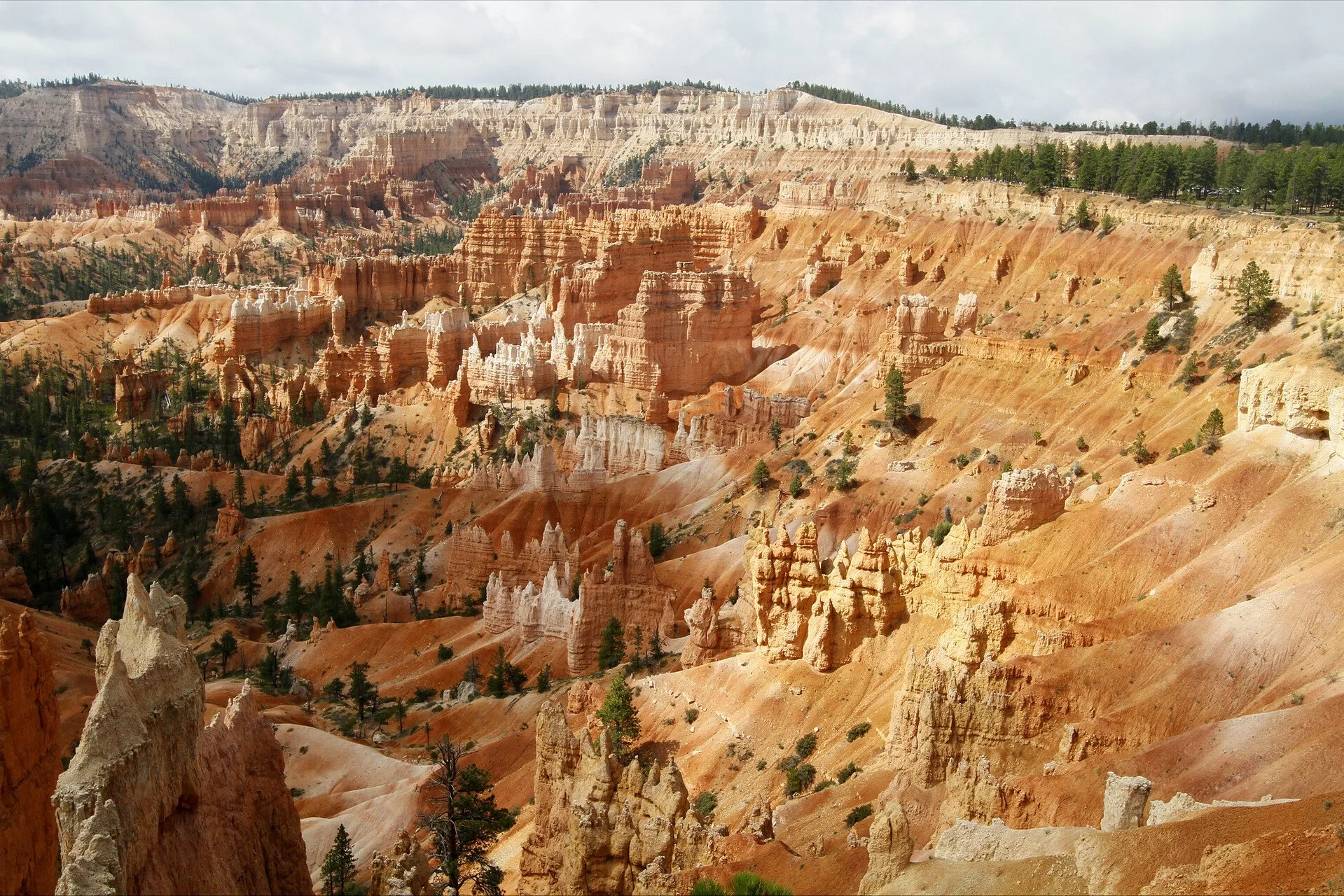 View of Bryce Canyon with orange and white rock formations, hoodoos, and sparse green trees under cloudy skies.