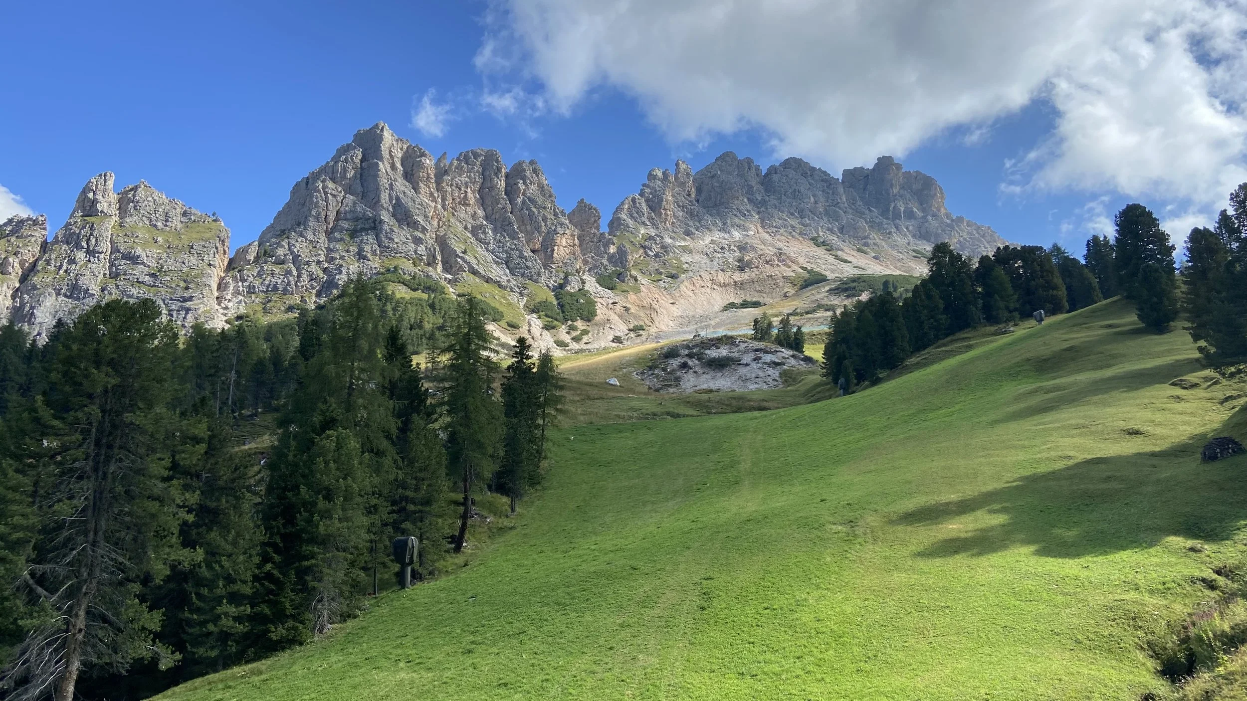 A lush green hillside with tall evergreen trees leading up to rugged mountain peaks under a partly cloudy blue sky.