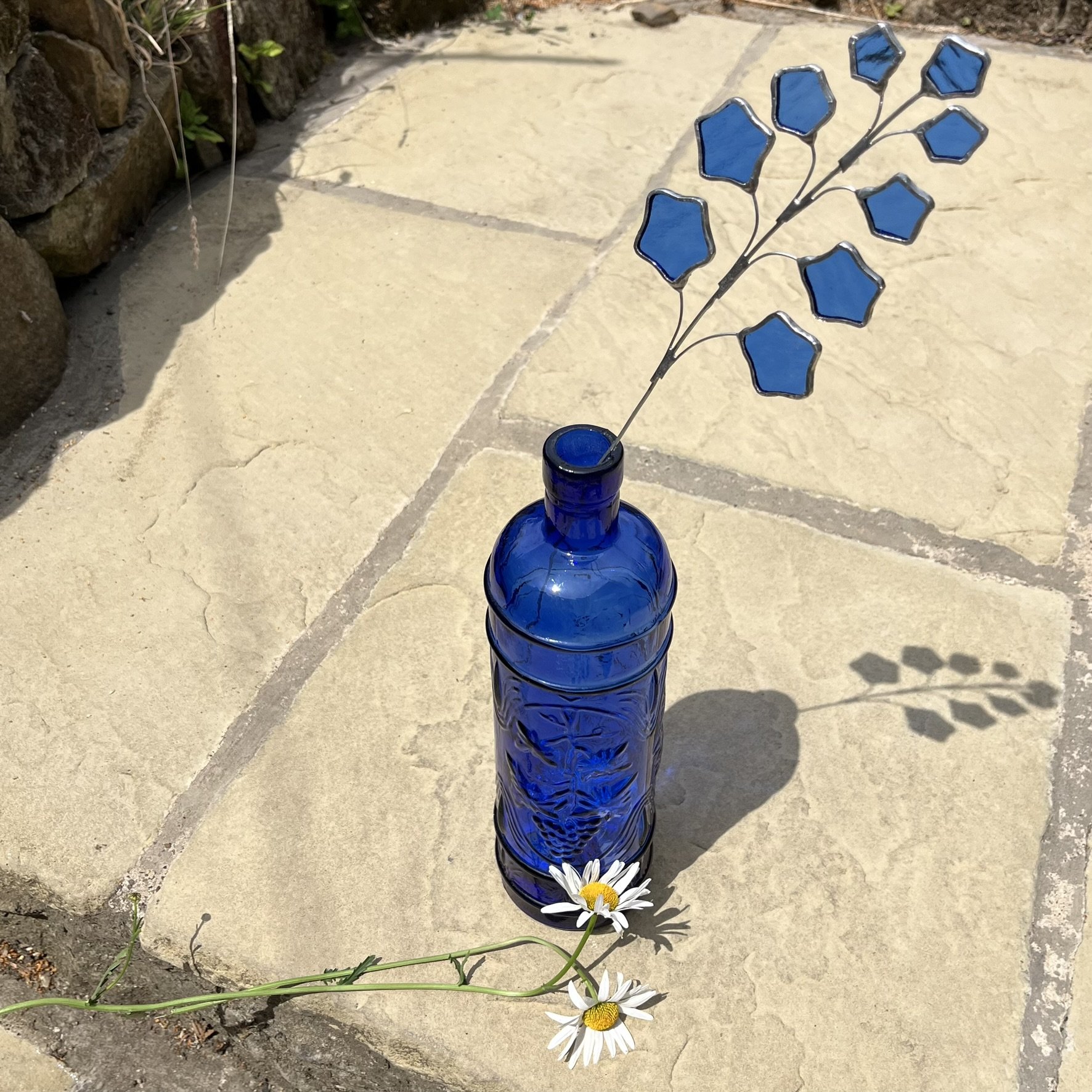 Delphinium - July birth flower