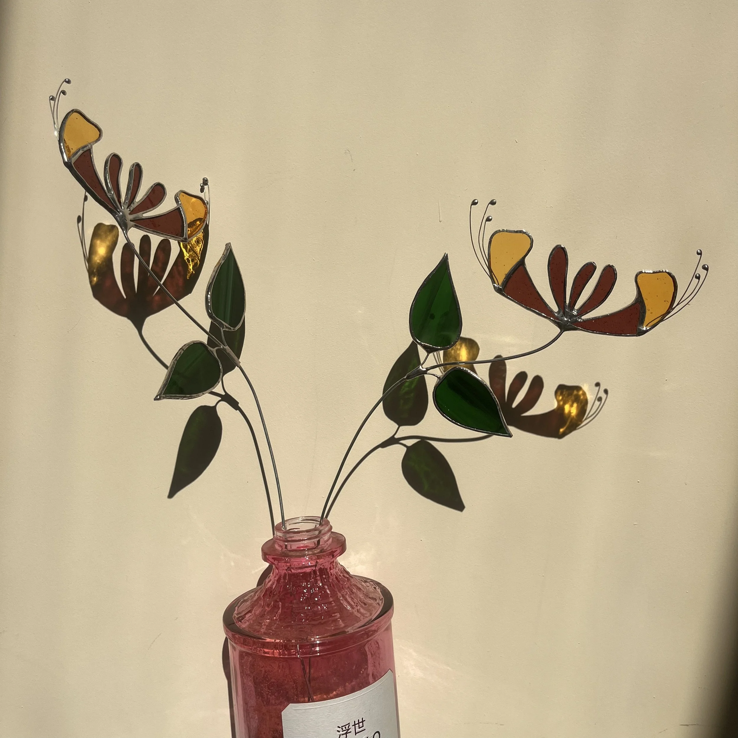 Honeysuckle - June birth flower