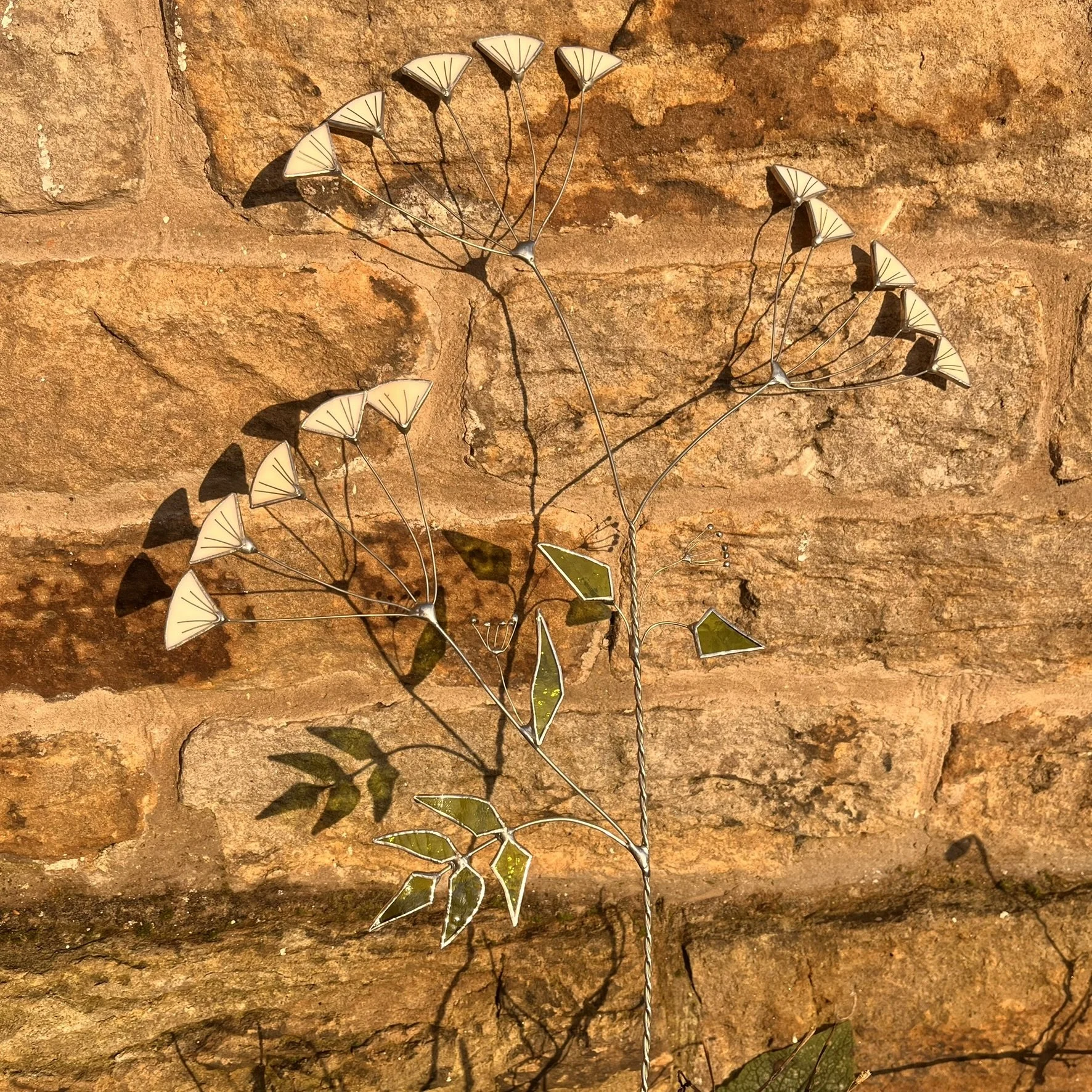 Cow parsley stem - large