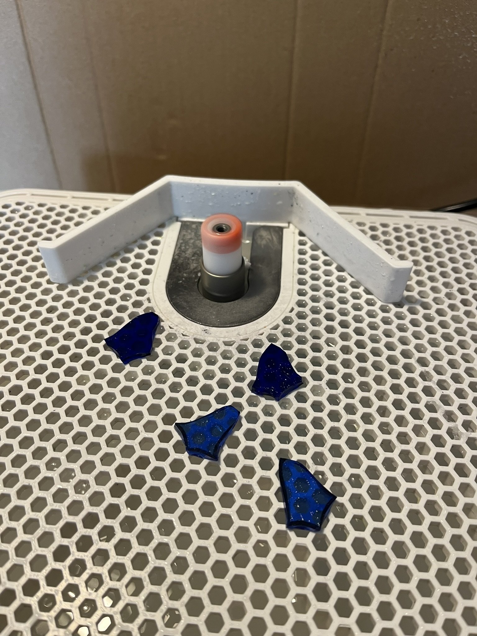 Bluebells on my glass grinder