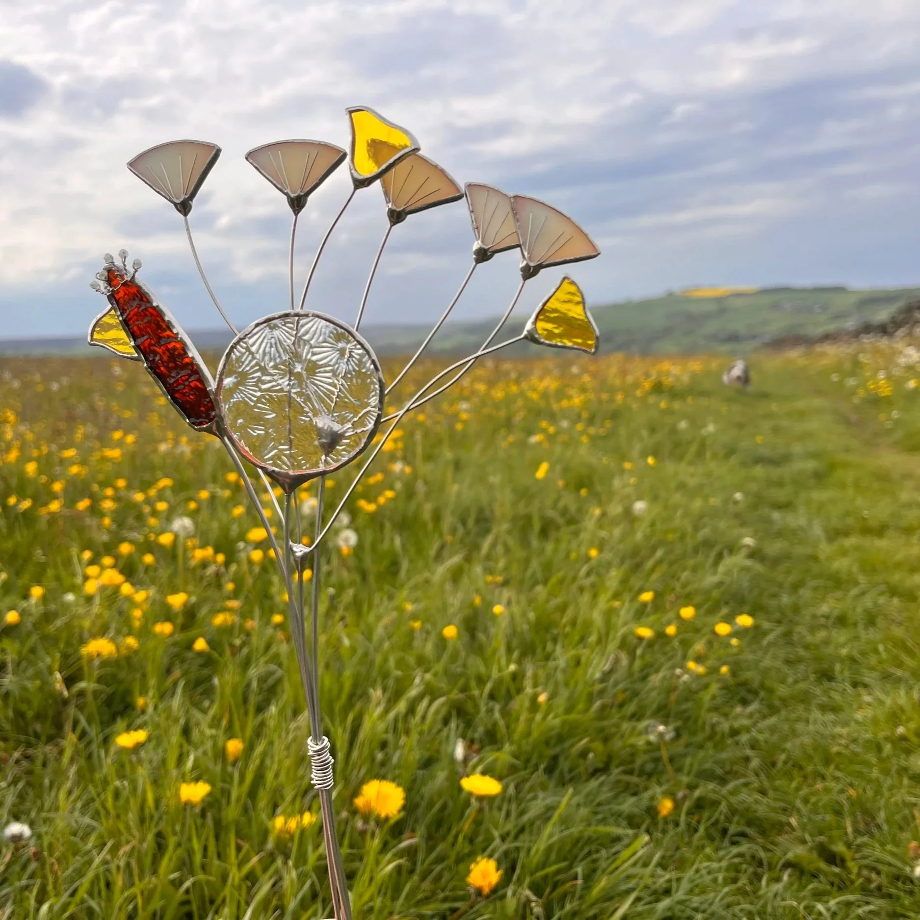 Meadow posy