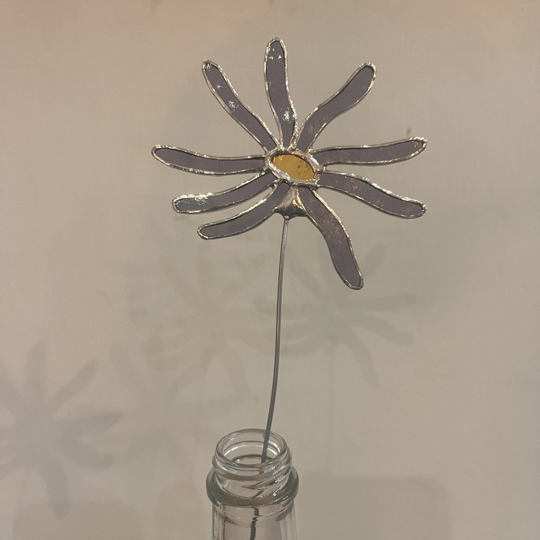 Aster - September birth flower