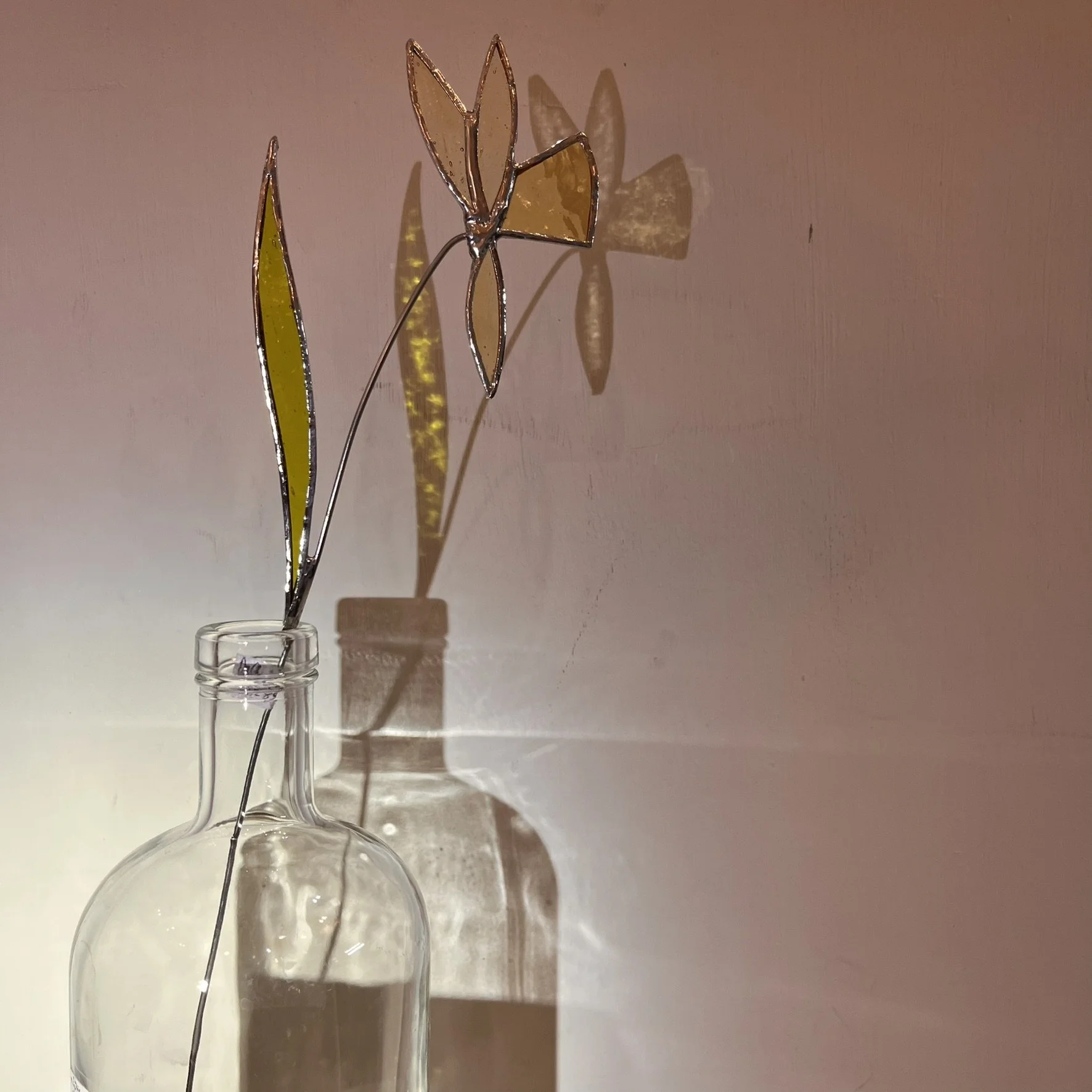 Daffodil - March birth flower