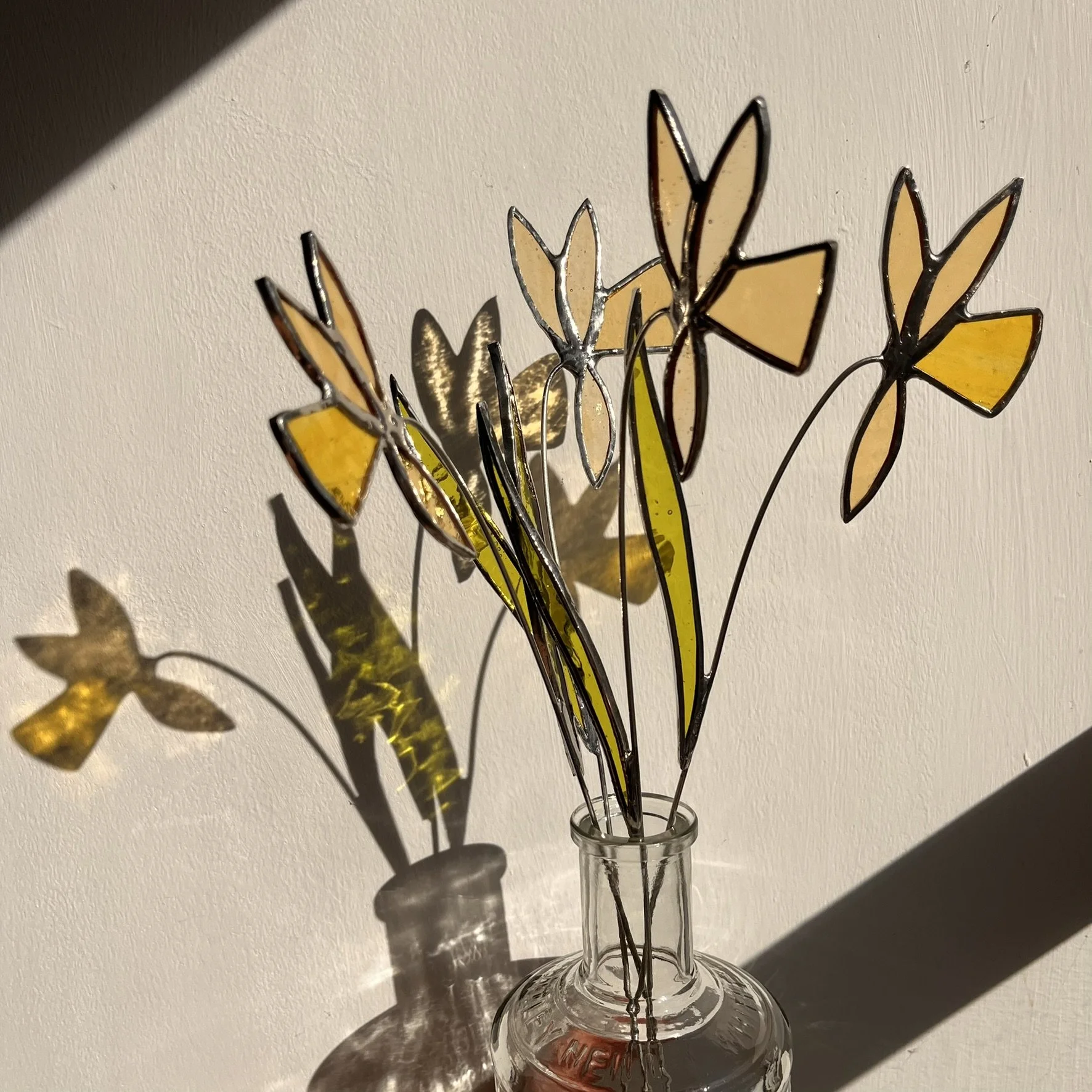 Daffodil - March birth flower