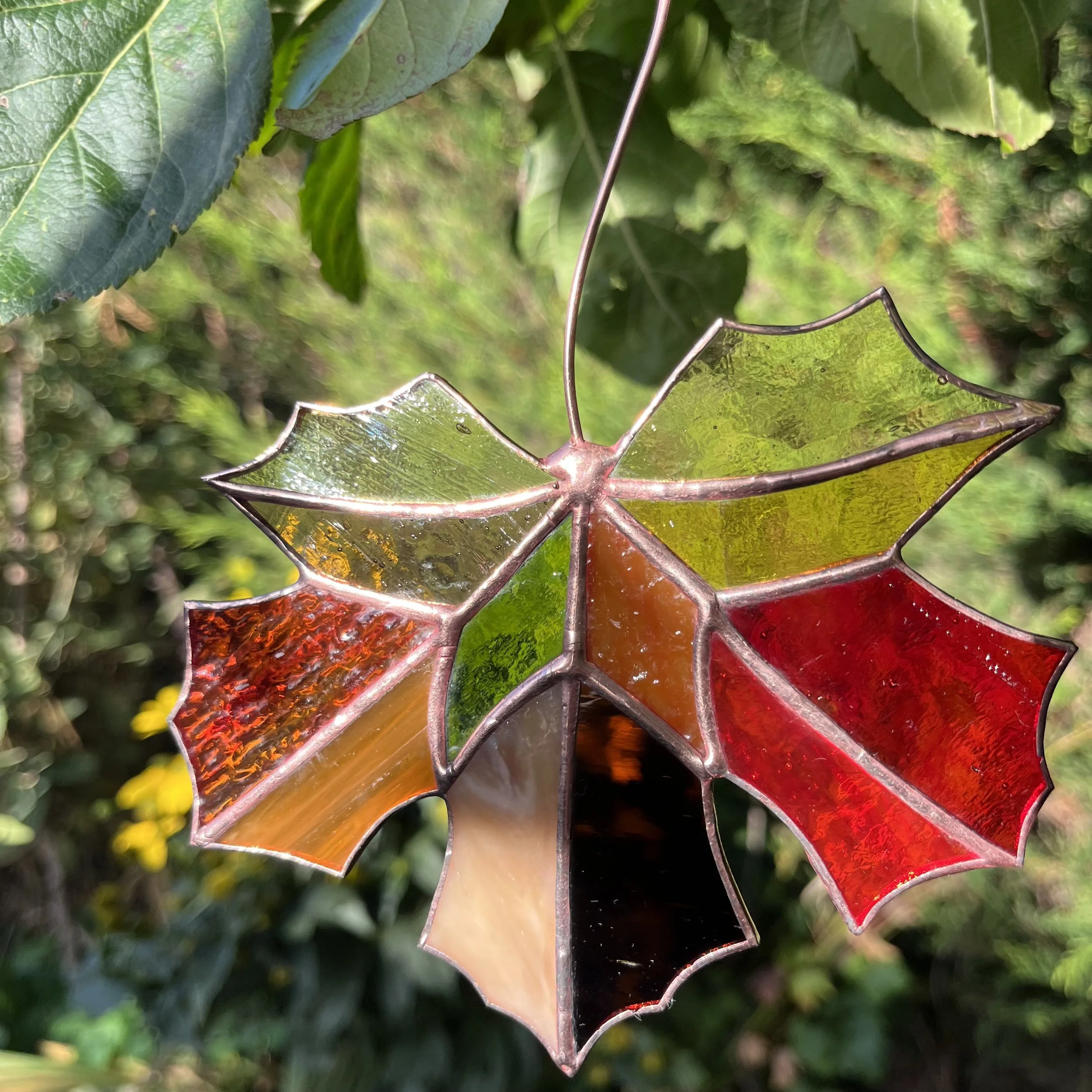 Sycamore leaf