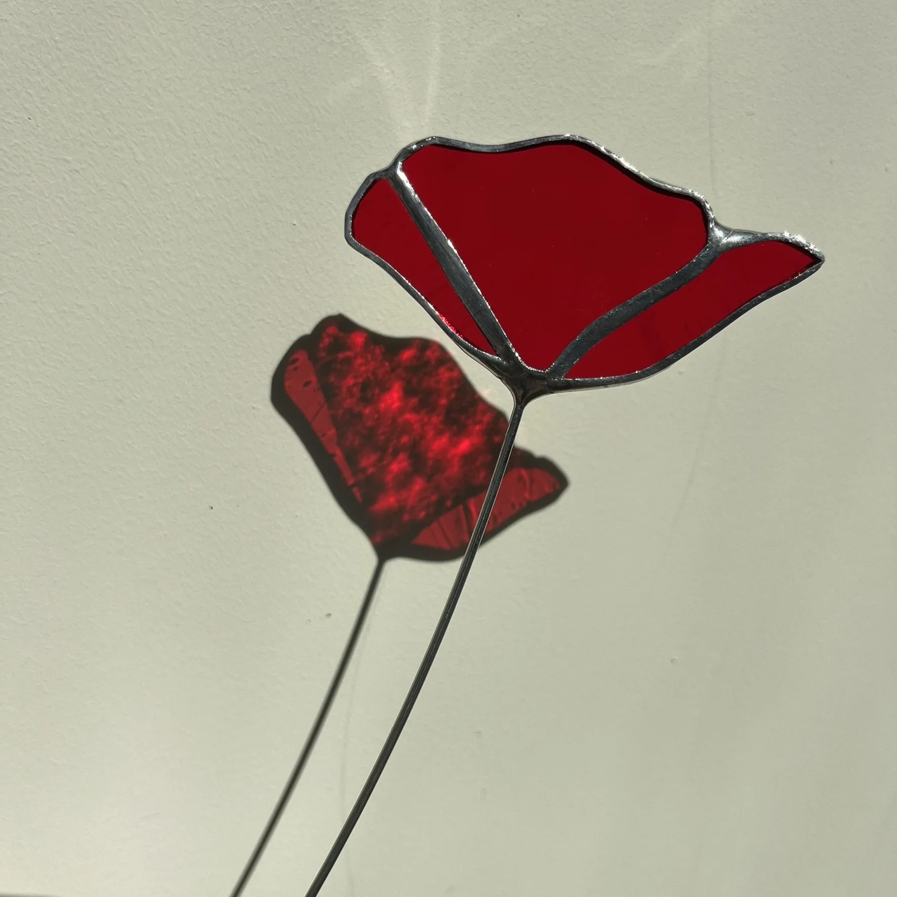 Poppy red3.JPEG