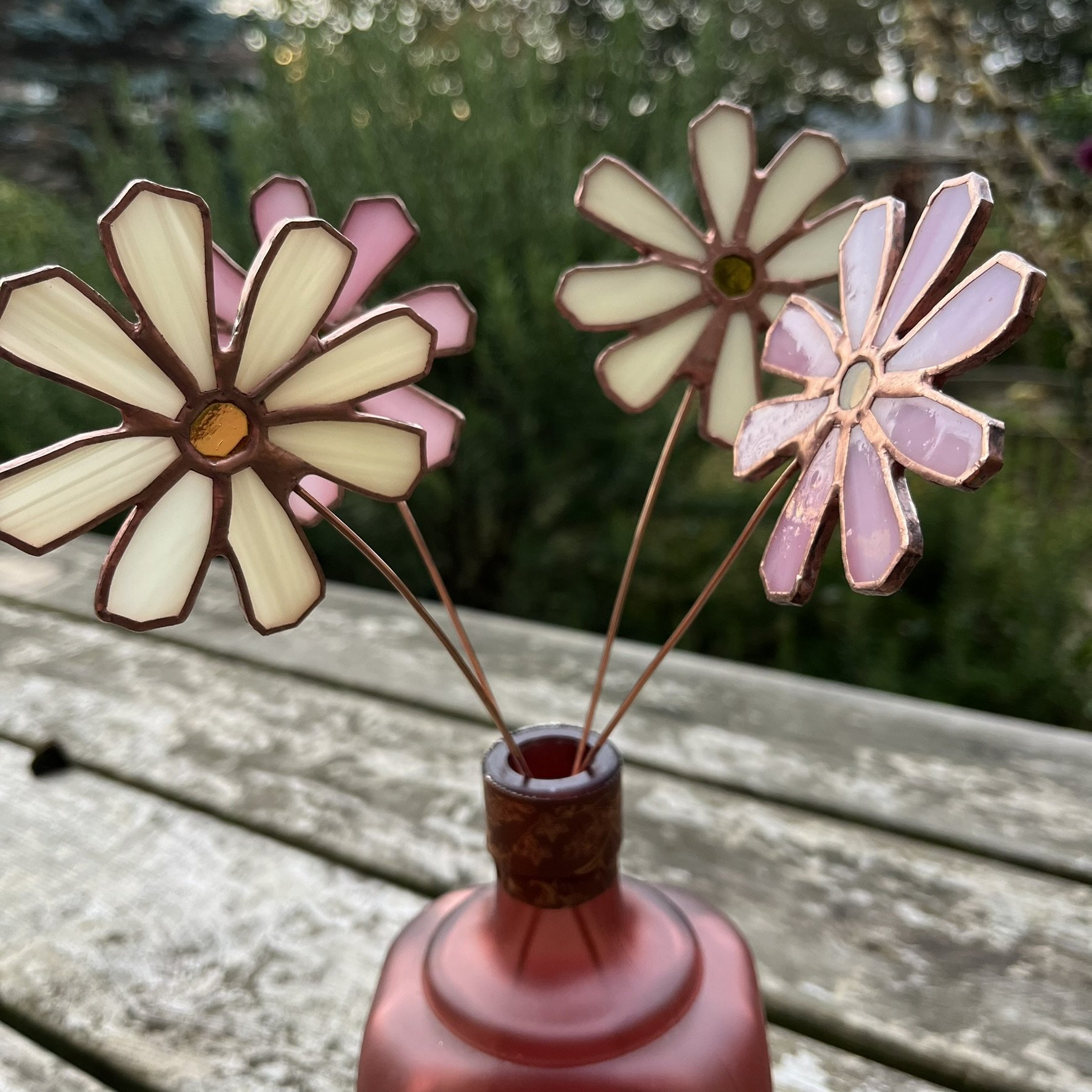 Cosmos - October birth flower