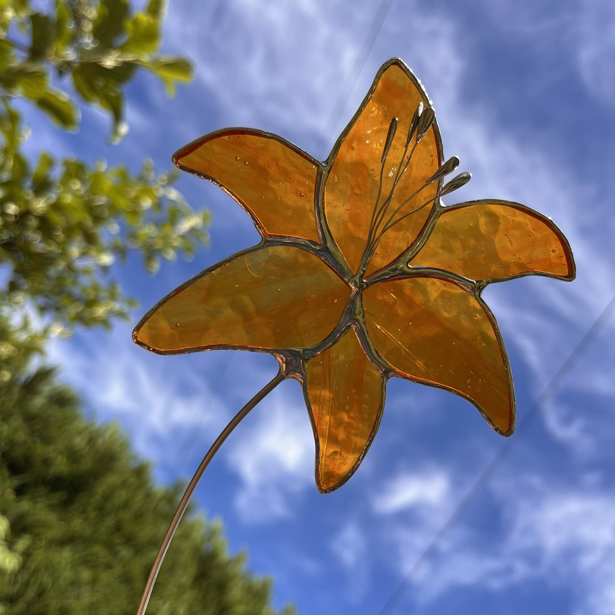Lily