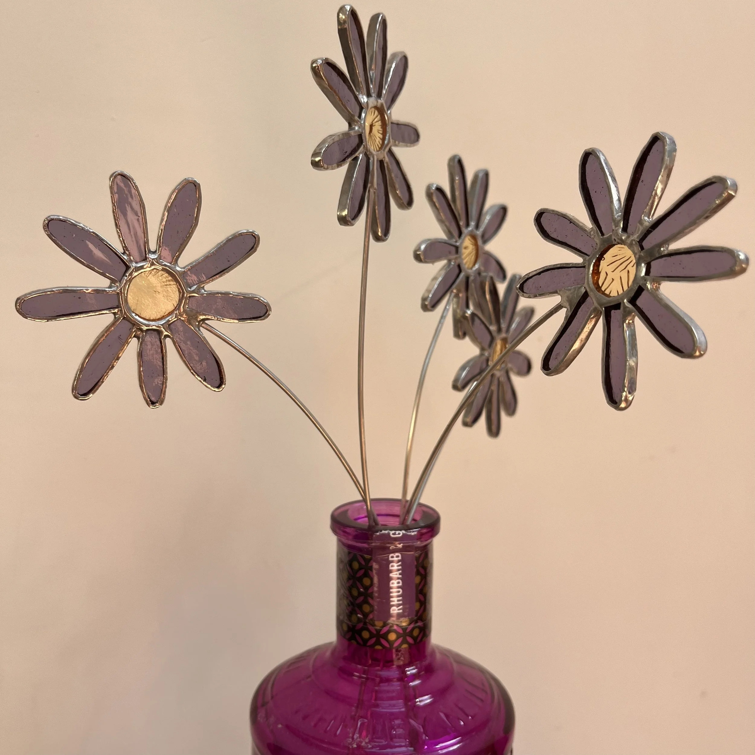 Aster - September birth flower