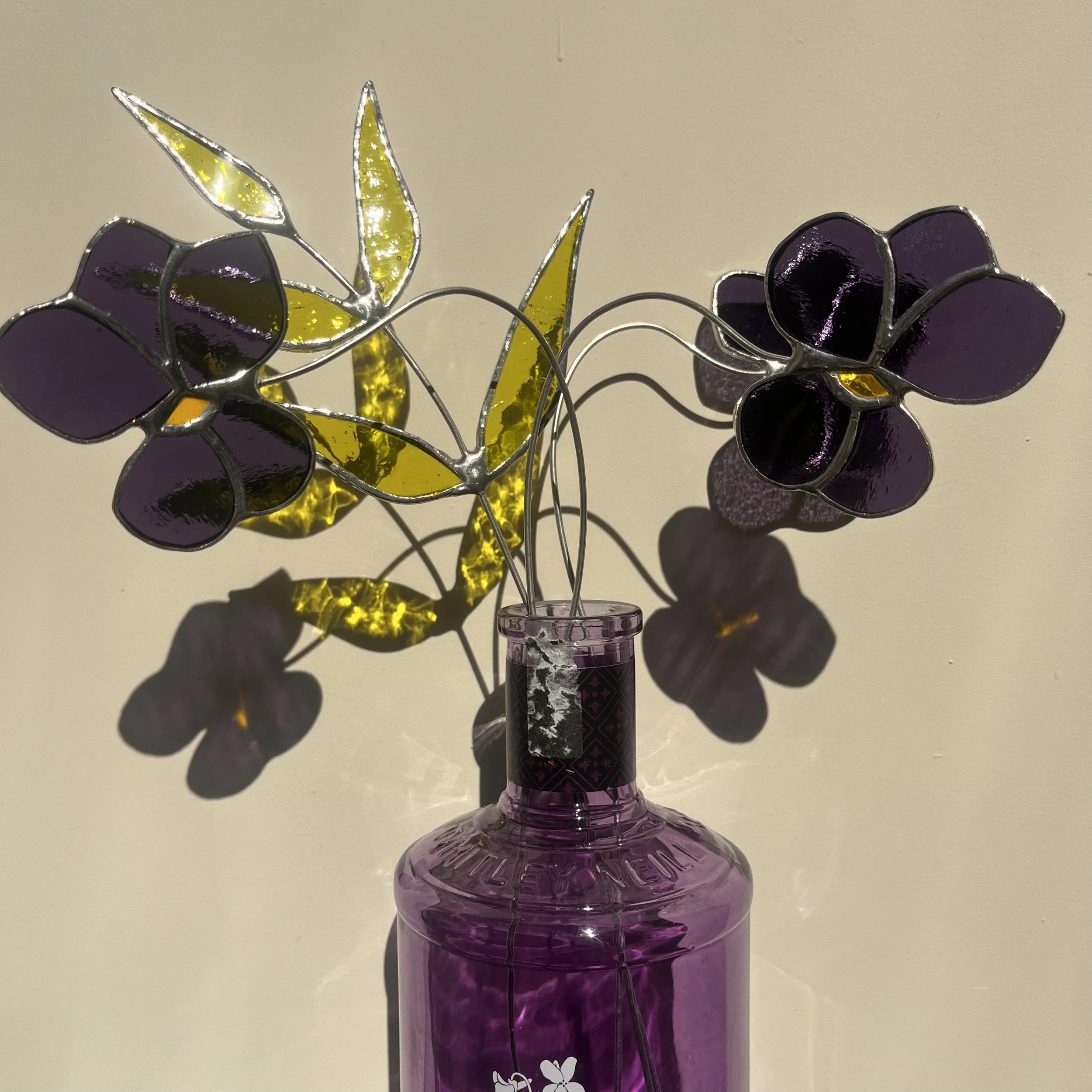 Violet - February birth flower