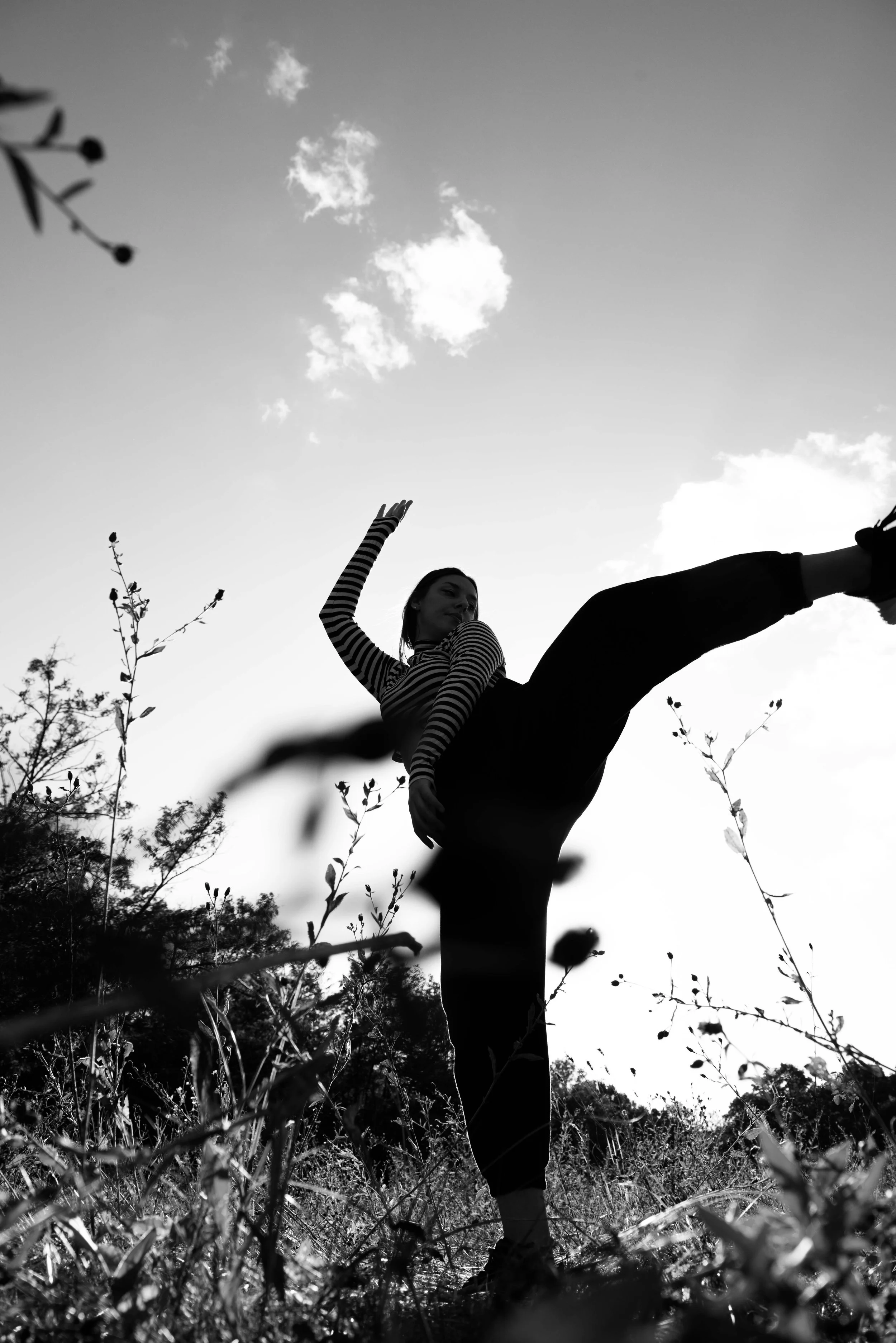 A person performing a high kick outdoors with plants in the foreground and clouds in the sky.