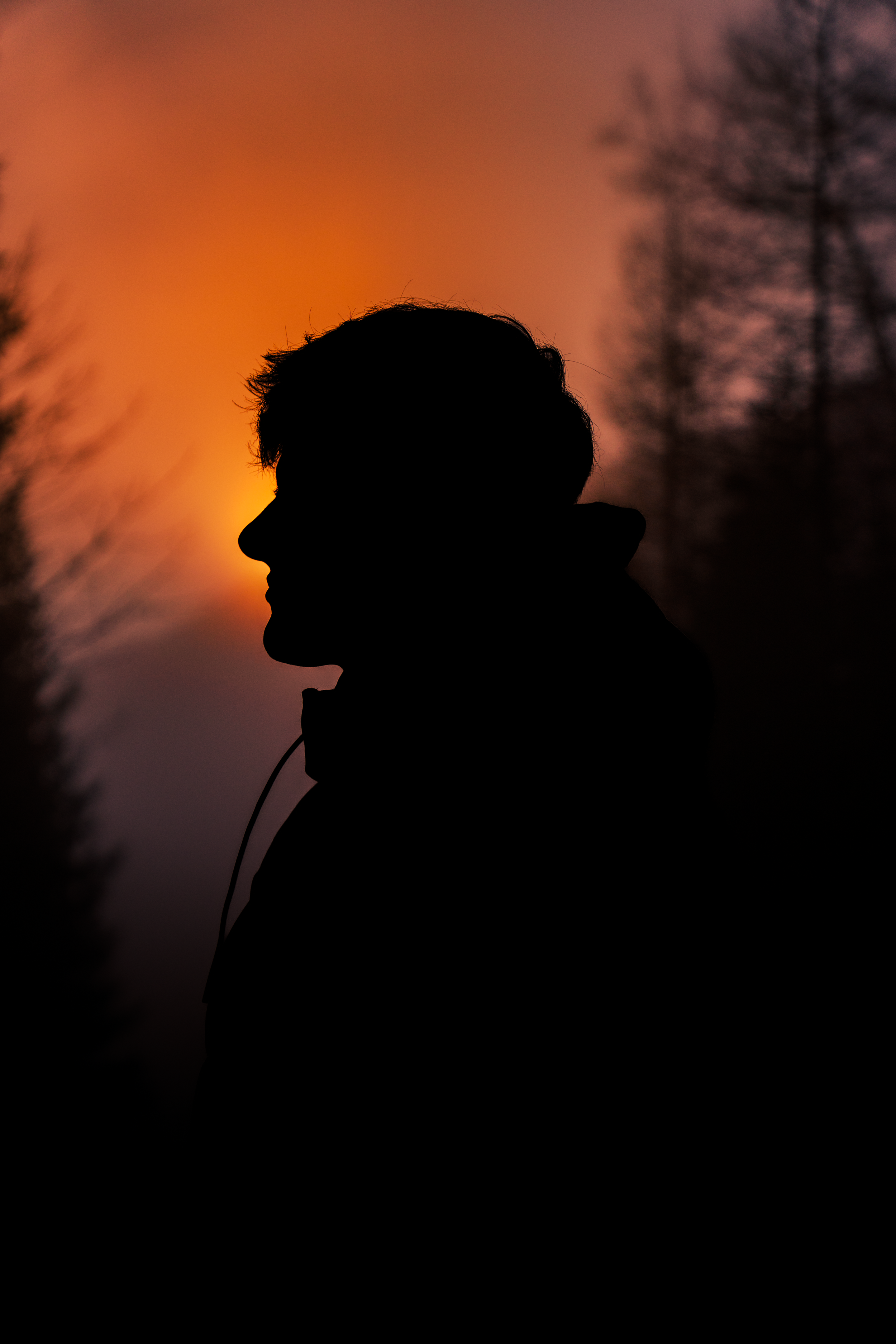 Silhouette of a person with headphones against a colorful sunset or sunrise sky with trees on either side.