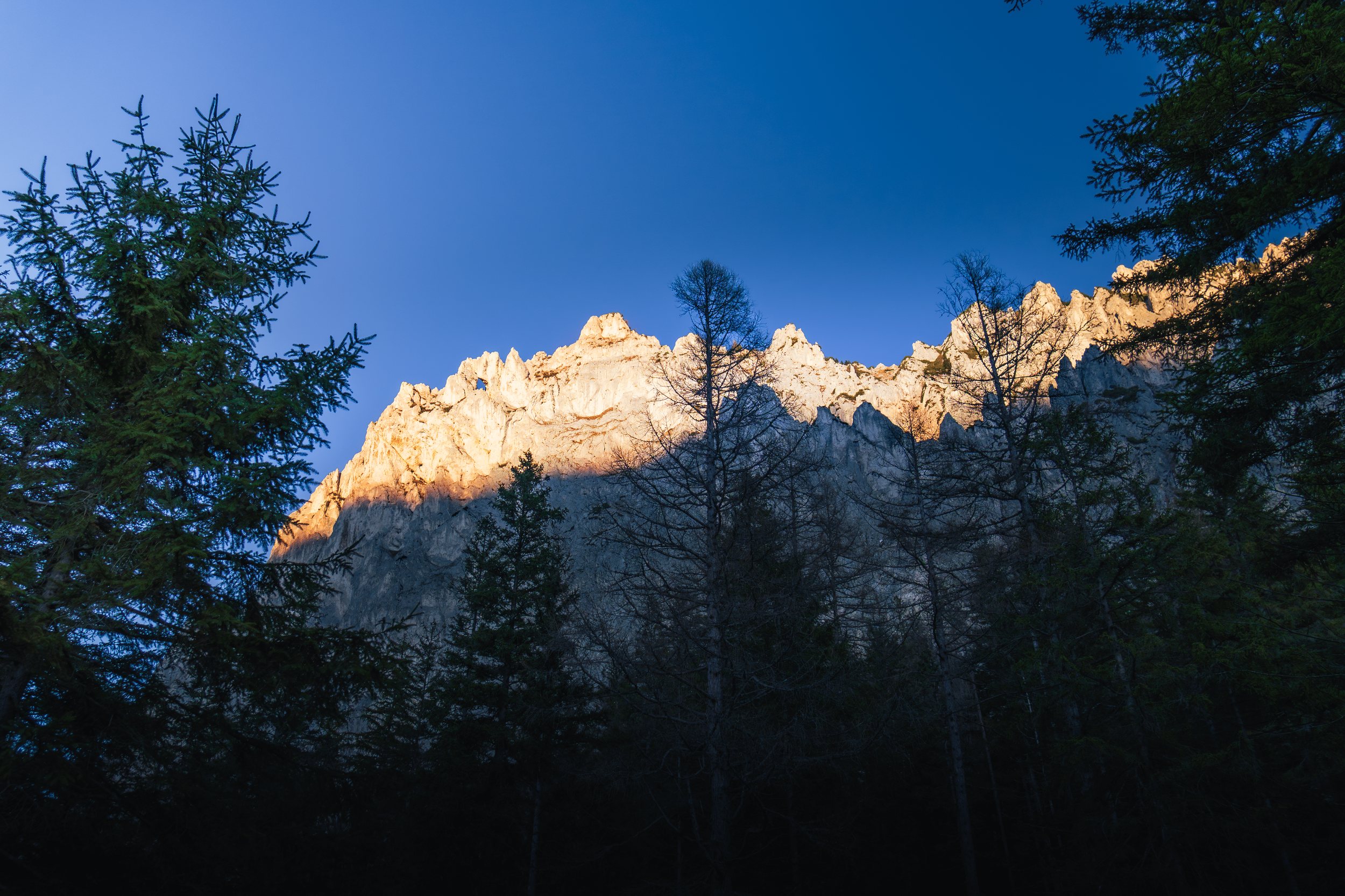 Sunlit mountain peaks with a clear blue sky, framed by dark silhouette of trees in the foreground.