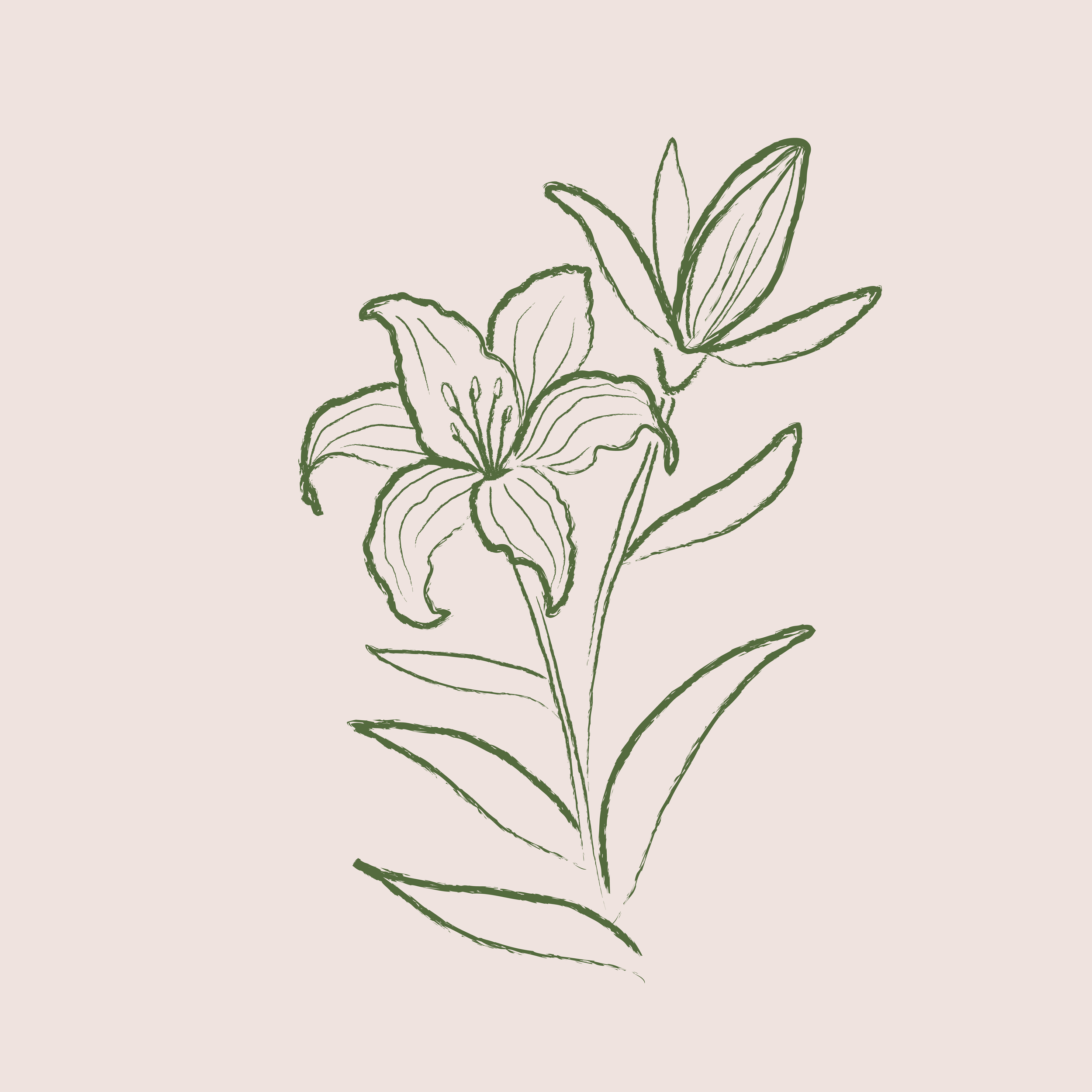 grieviaillustrations-light2-06.png