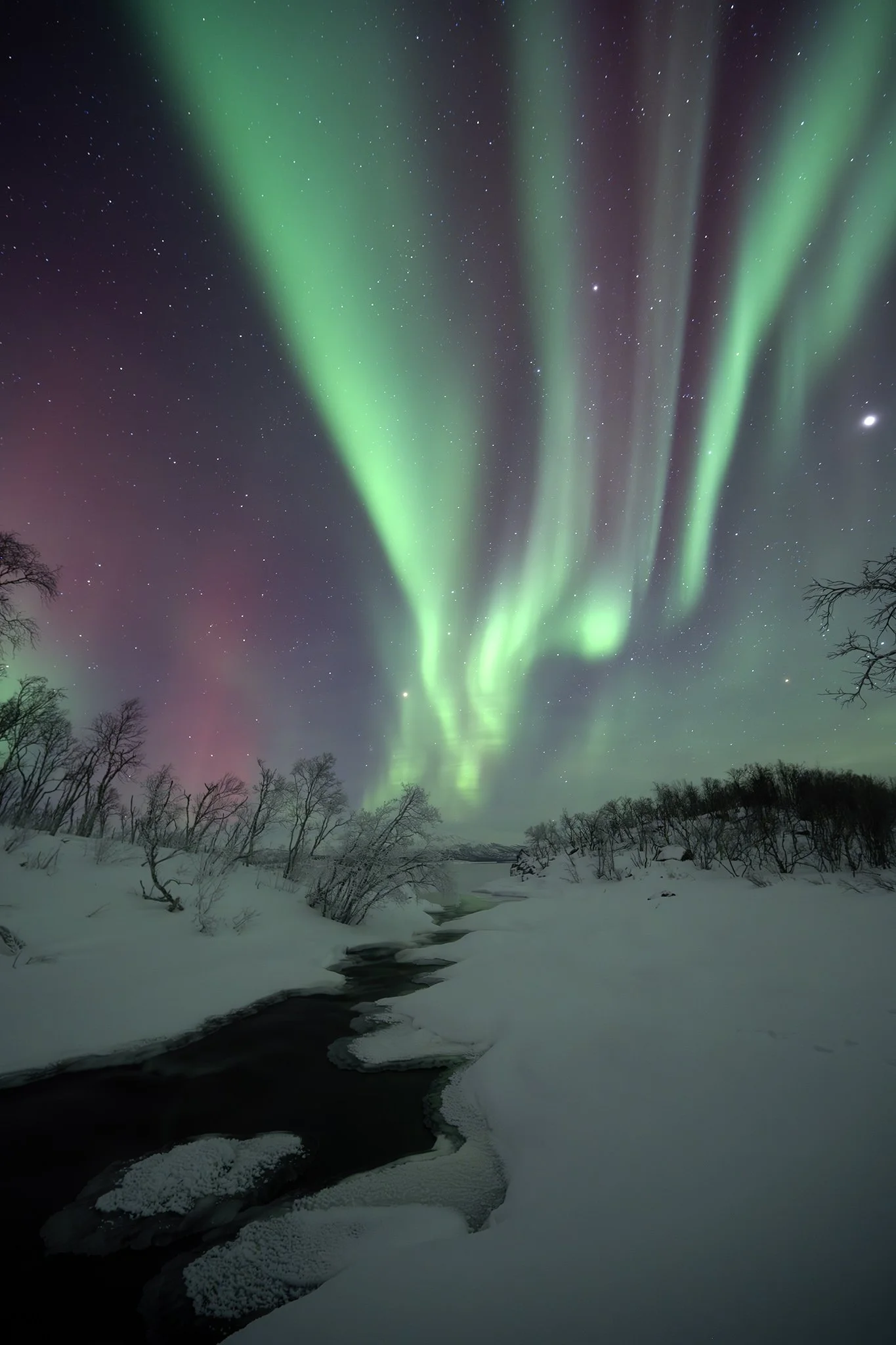 Northern lights over a snowy landscape with a partly frozen river and leafless trees.