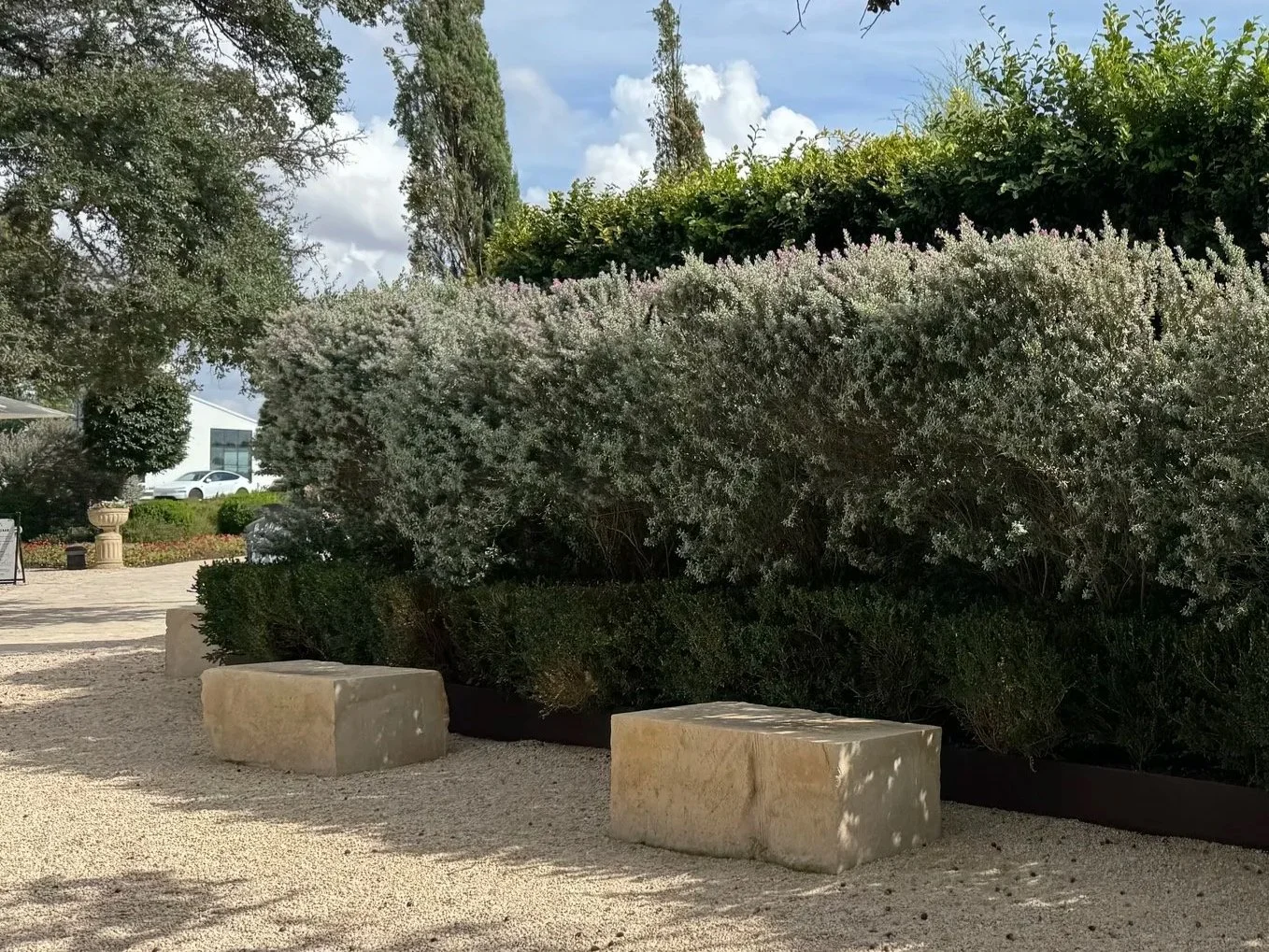 Virtual Consultation