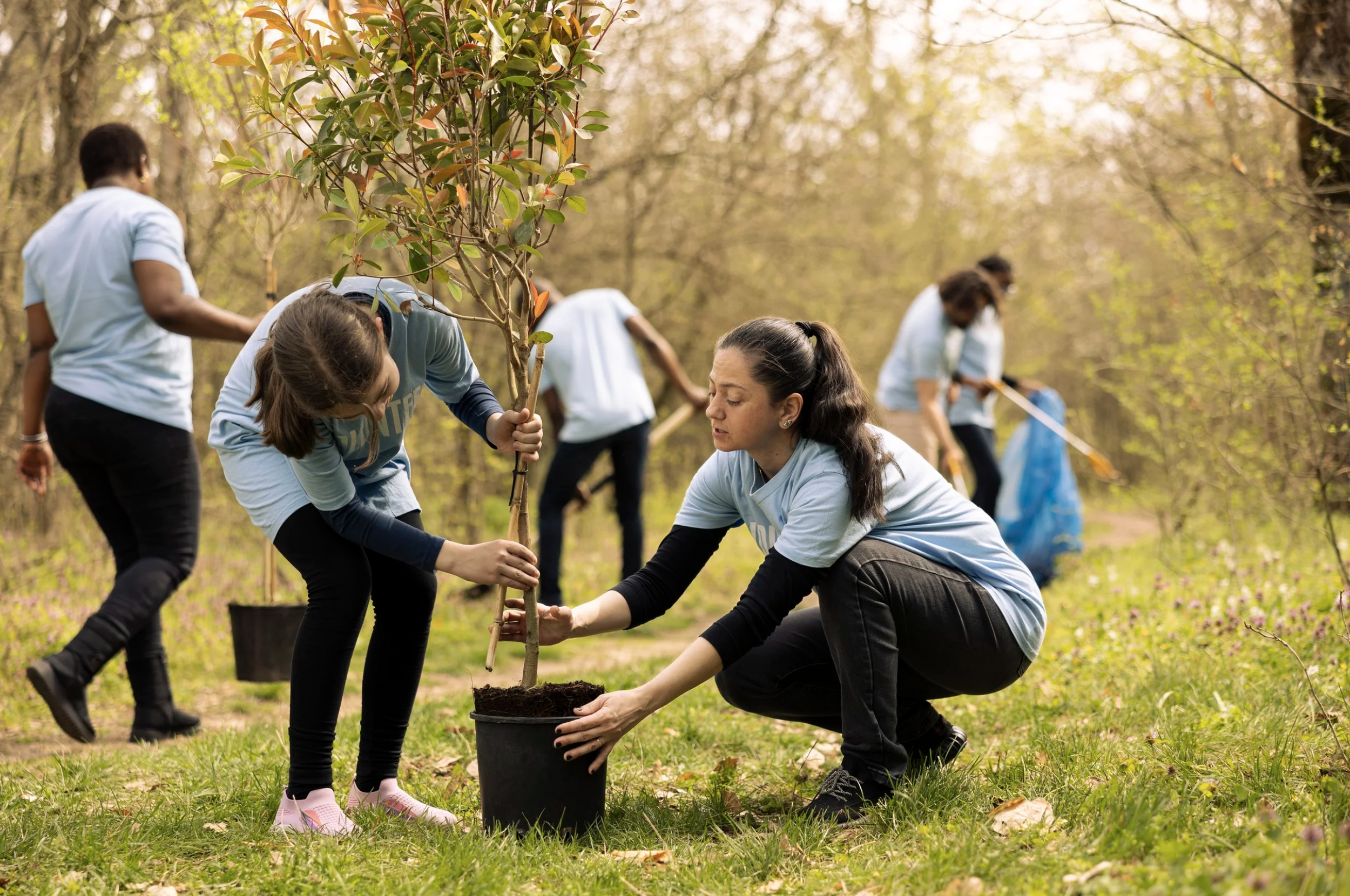 Group of people planting a small tree in a pot outdoors during daytime.