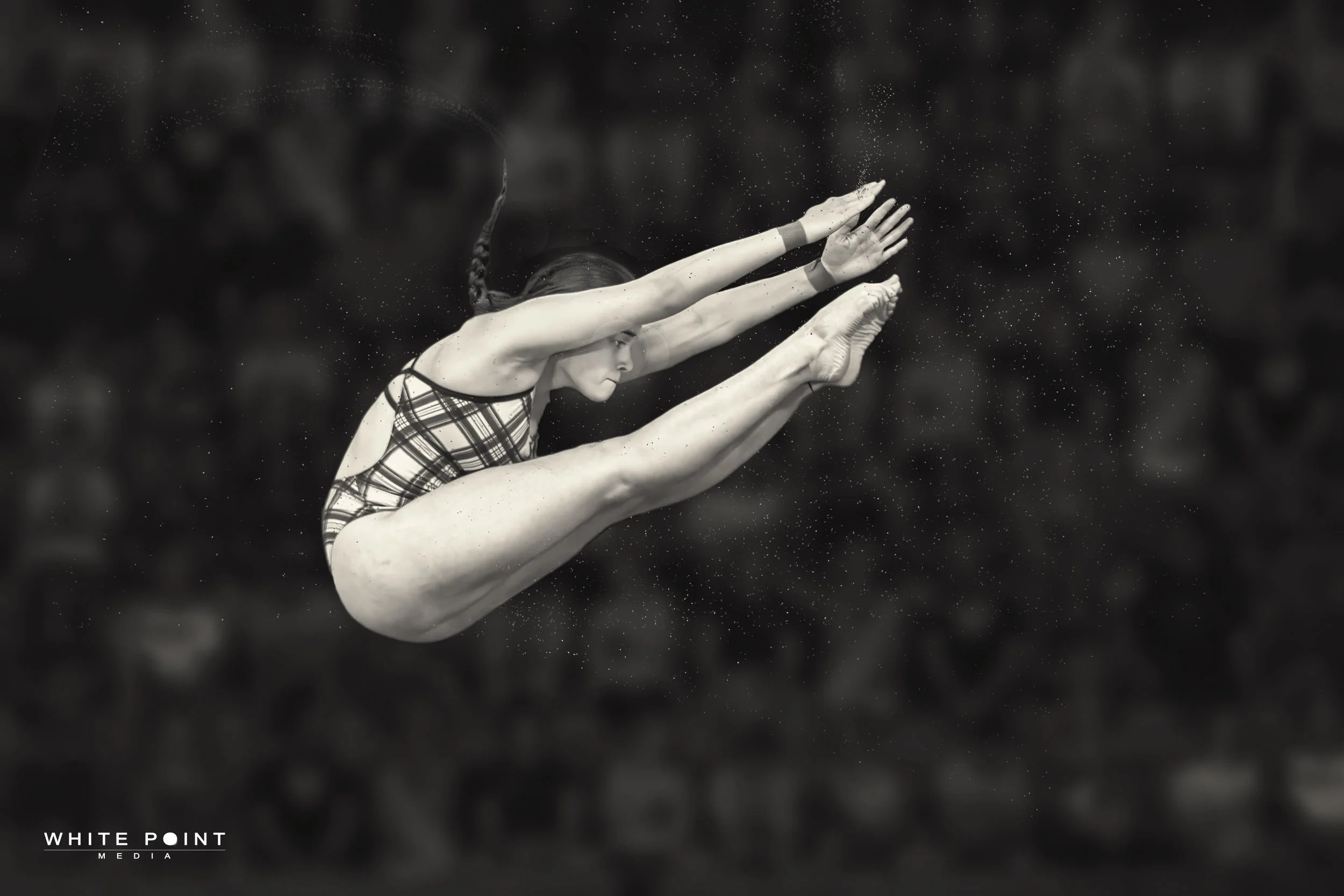 Diving 002 - Dev 01 - Flat.jpg