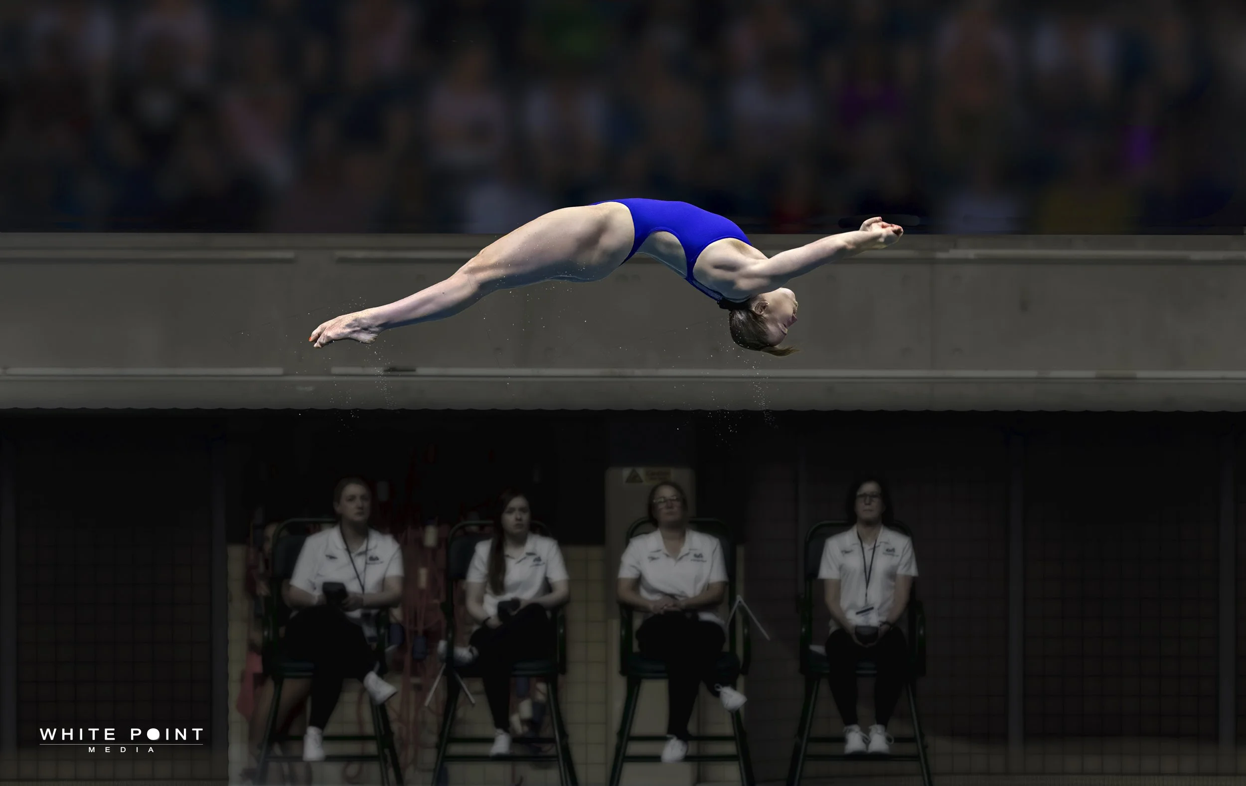 Diving 005 - Impressing the Judges.jpg