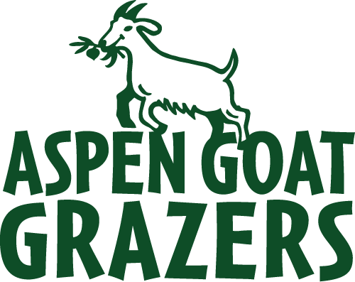 Aspen Goat Grazers