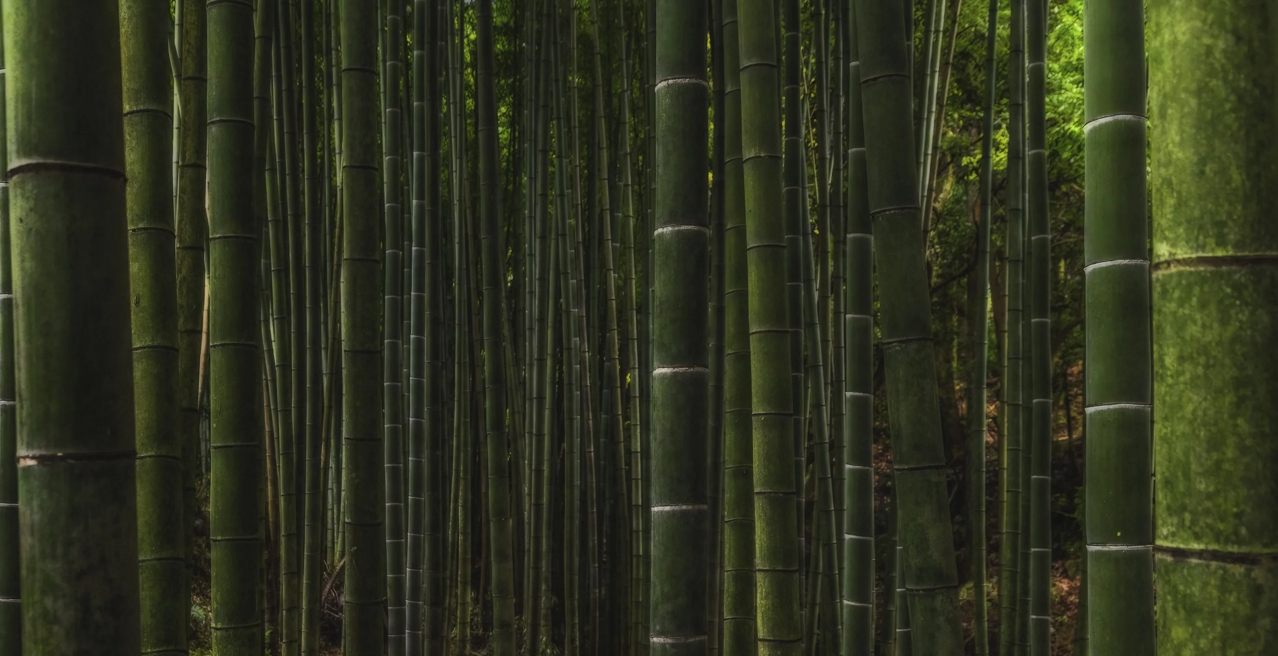 Green-4.jpg