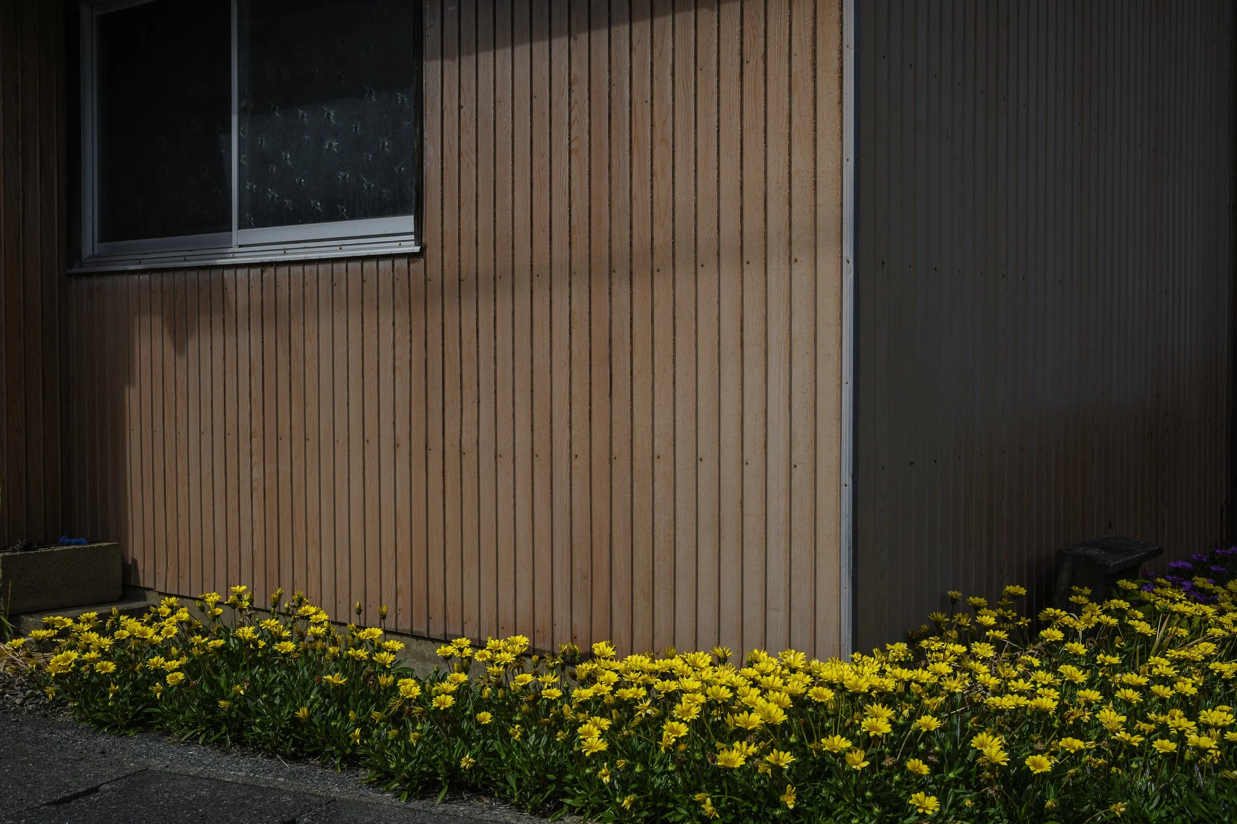 Japan Life-8.jpg