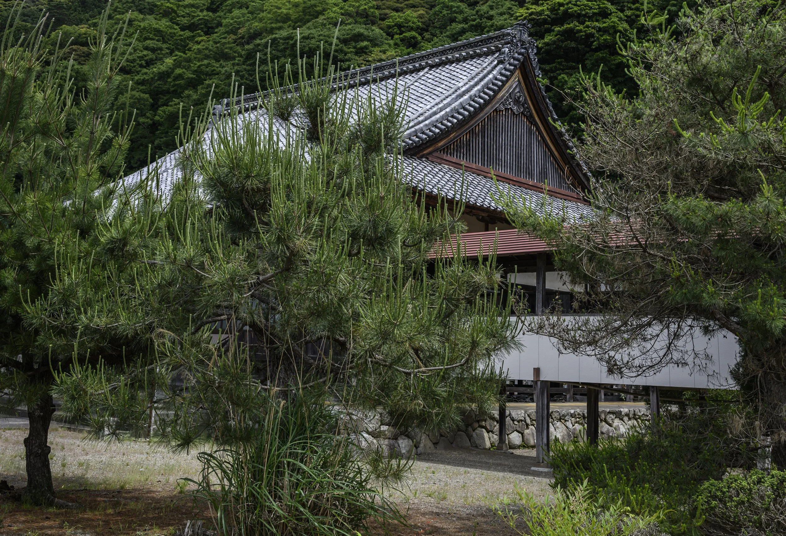 Japan Life-16.jpg