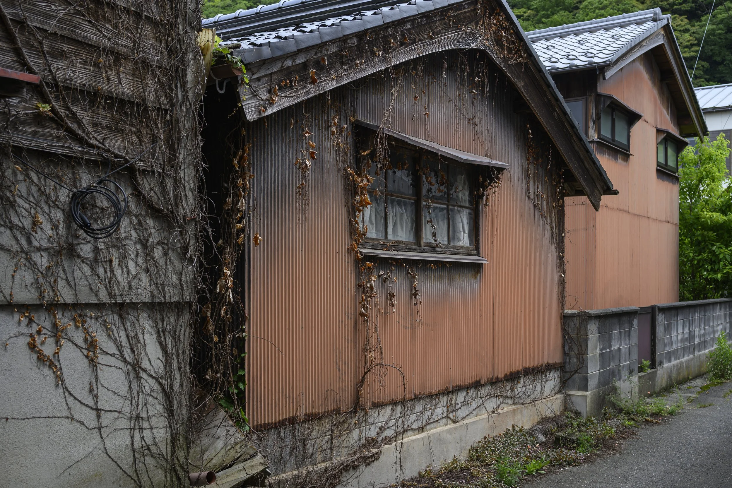 Japan Life-17.jpg