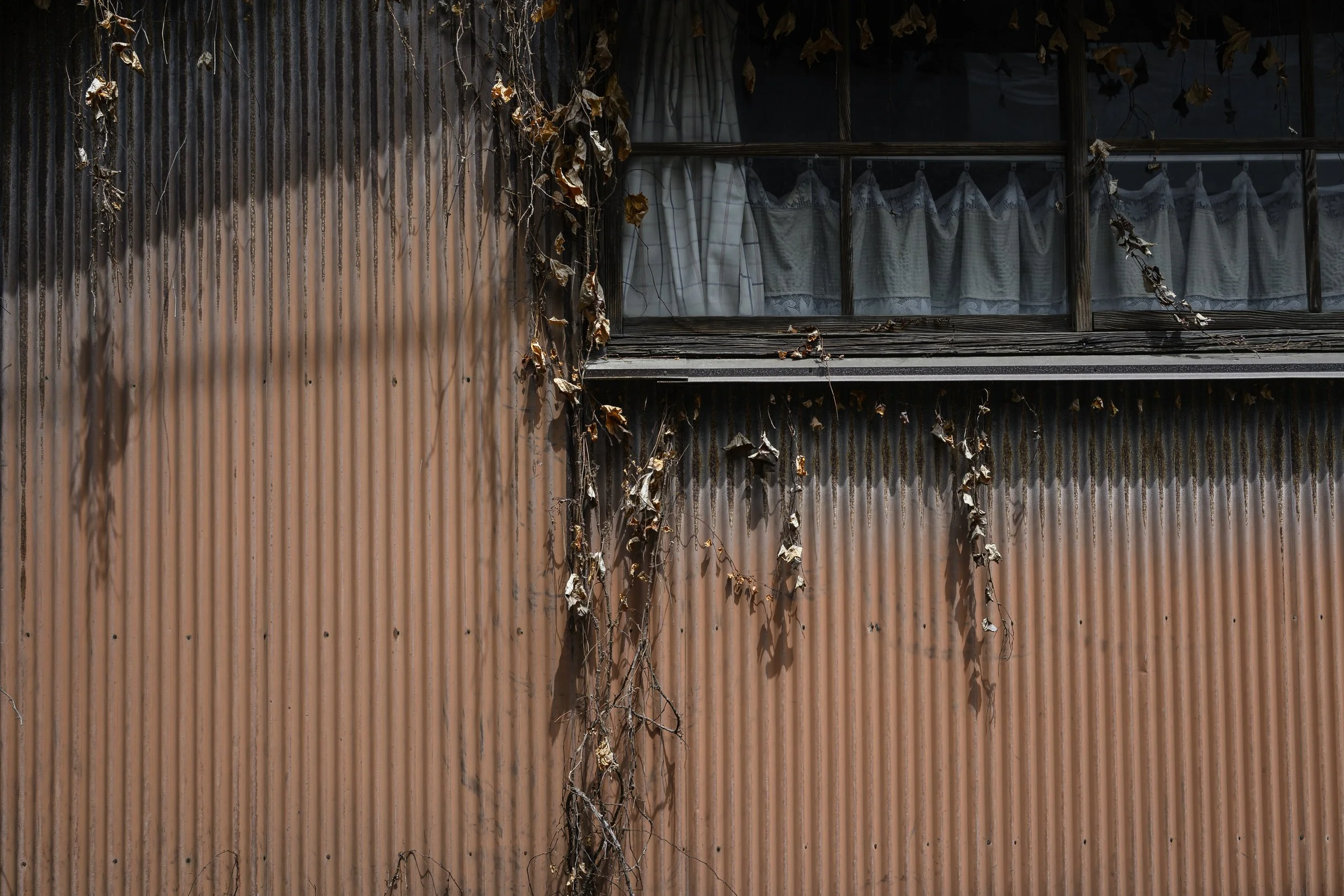 Japan Life-18.jpg