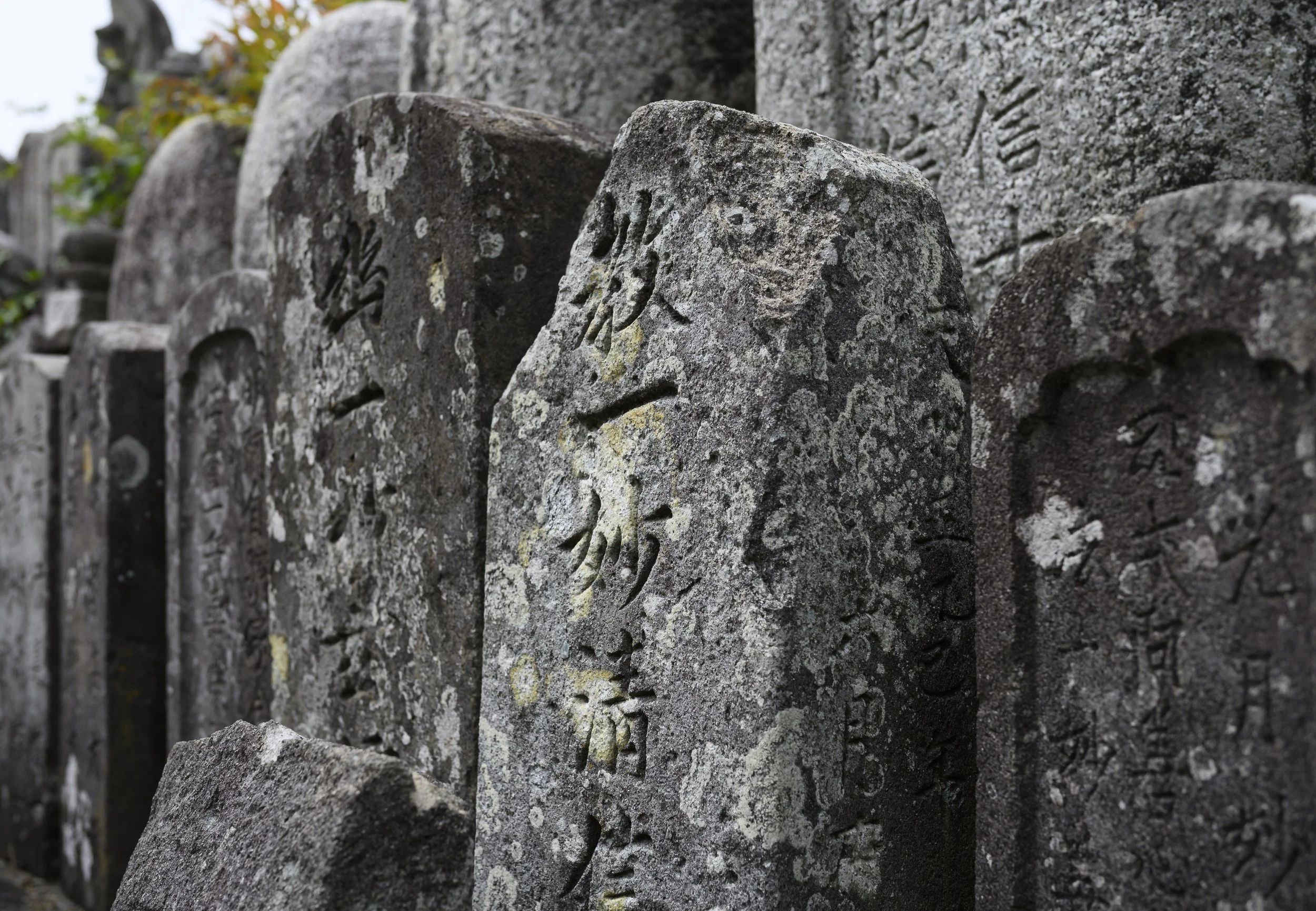 Japan Life-22.jpg