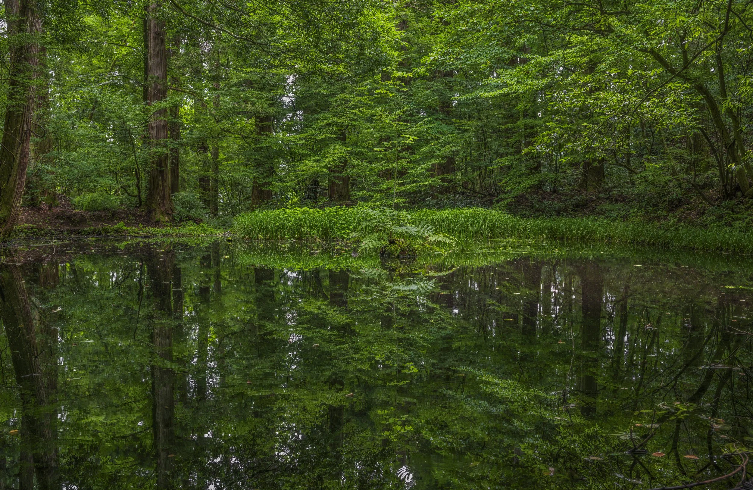 Green-7.jpg