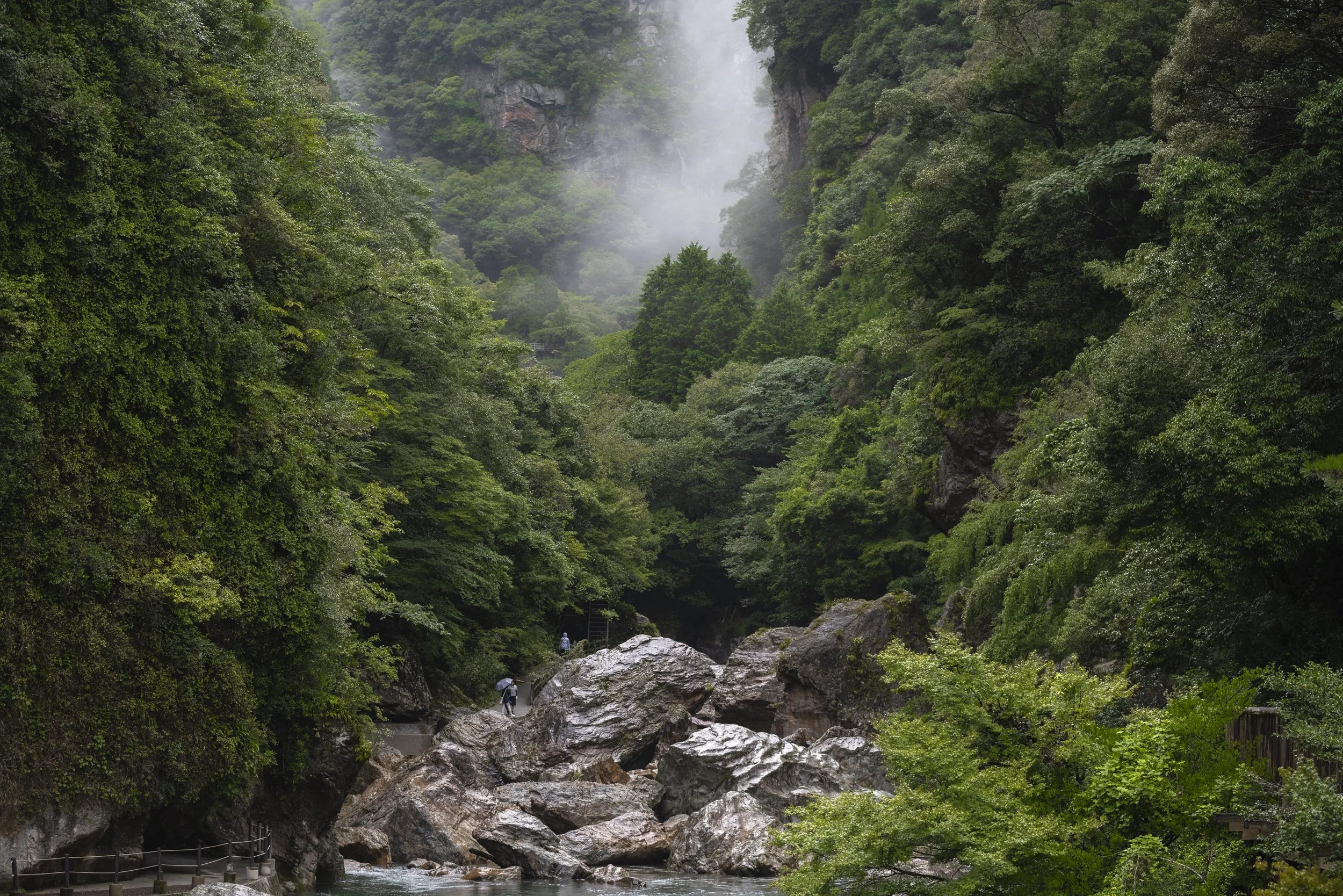 _DSC6835.jpg