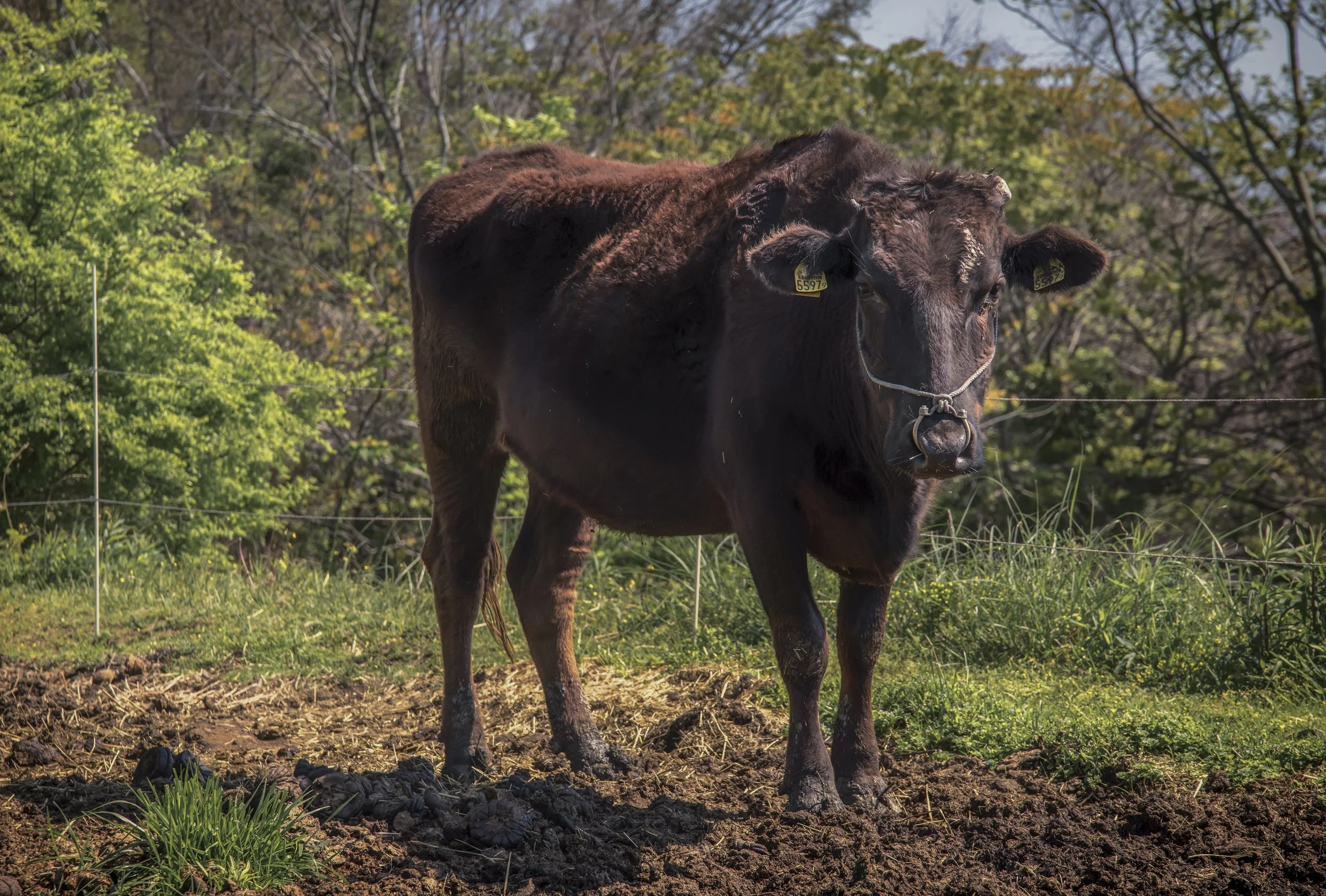 _DSC6611-Edit-Edit.jpg