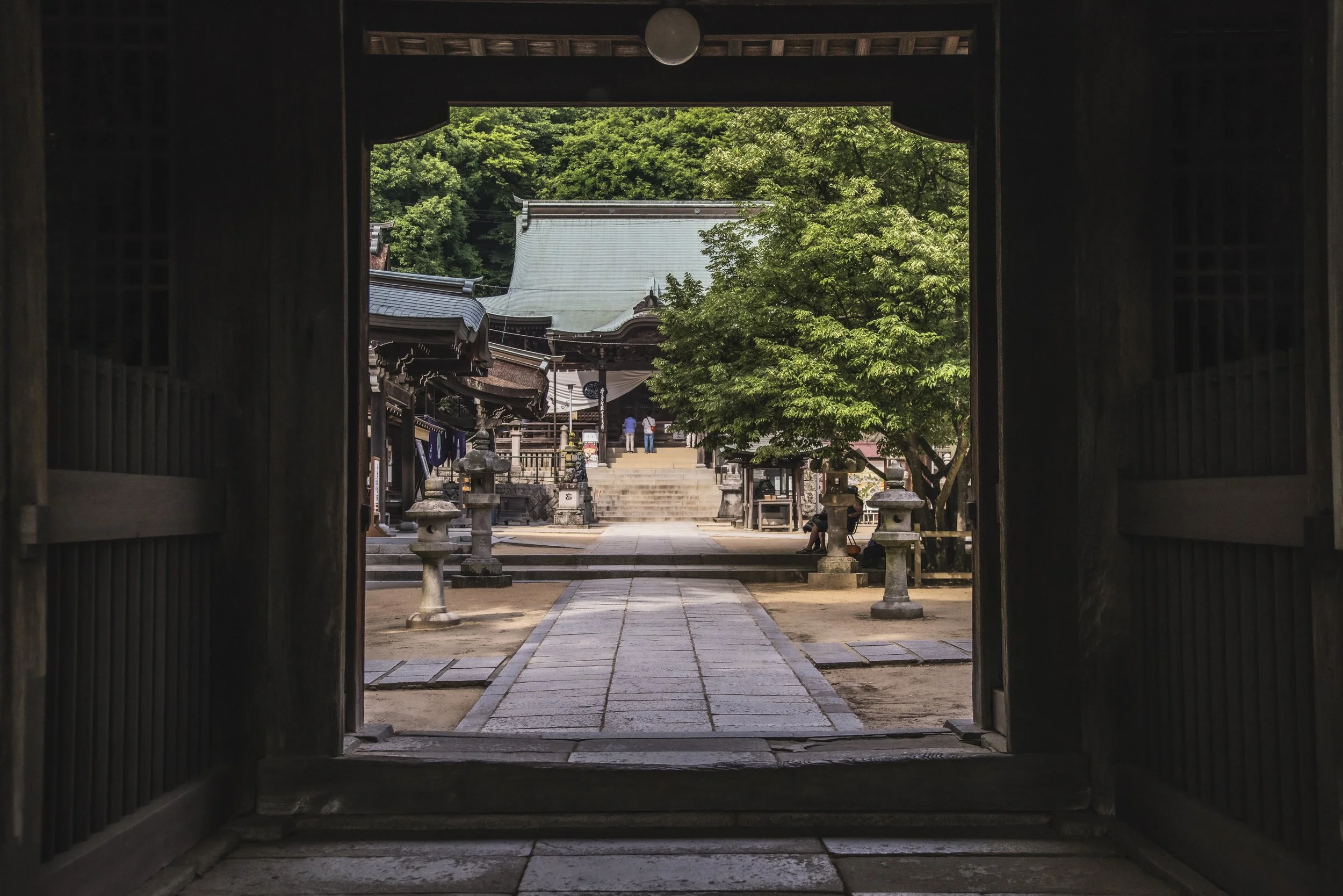 _DSC7986-Edit-Edit.jpg