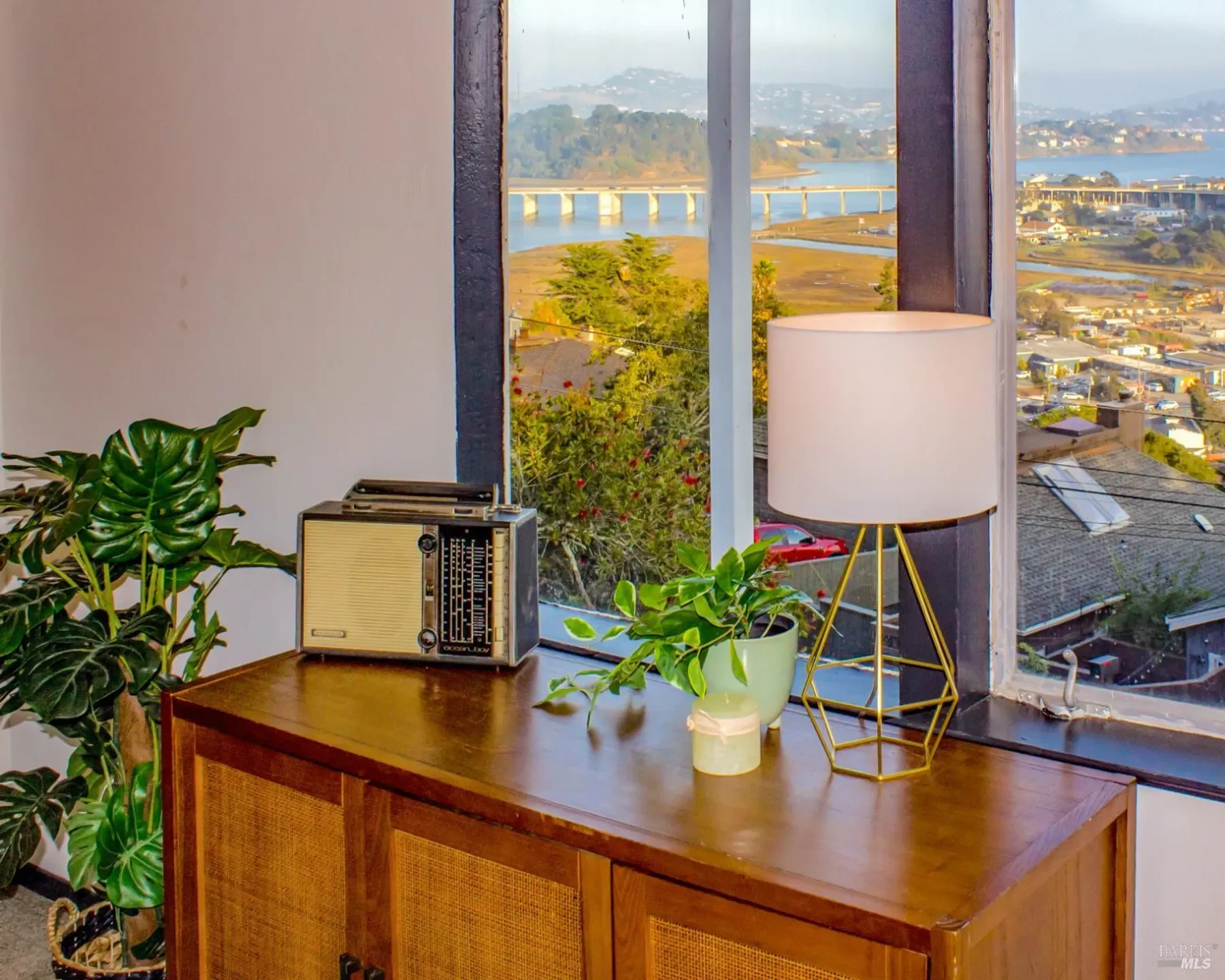 plants by window (1).webp