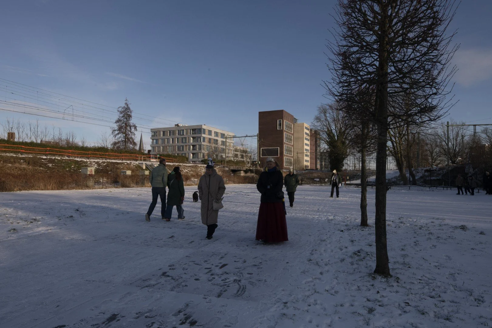 DSC24561 (Groot).JPG