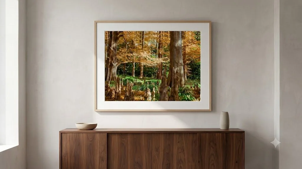 forest 2.jpeg