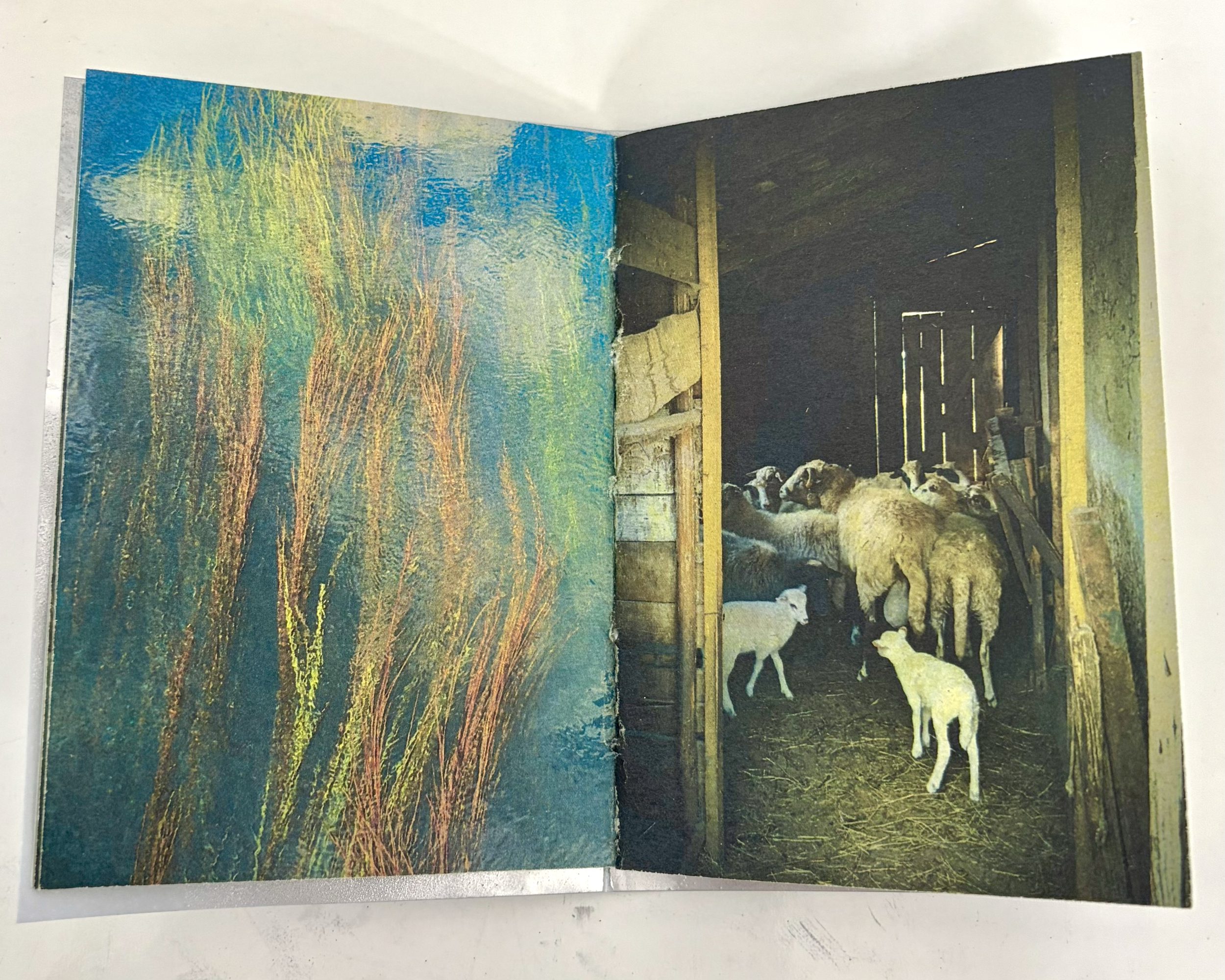 OTIŠAO, 2025. Xerox printed pamphlet stitched paper zine with spray painted yupo cover (4/4)